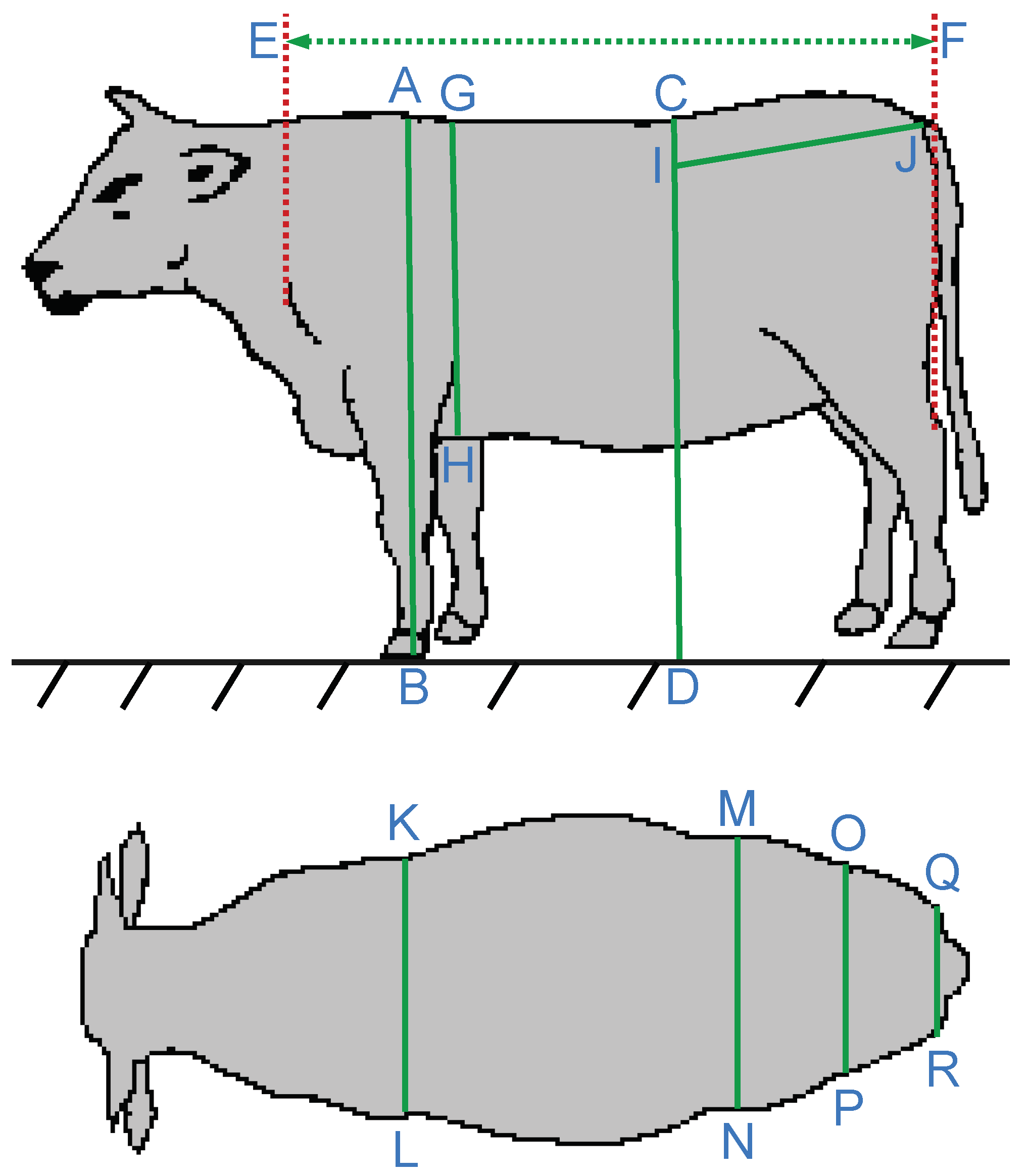 Sustainability 14 12661 g001 Sustainability 14 12661 g001