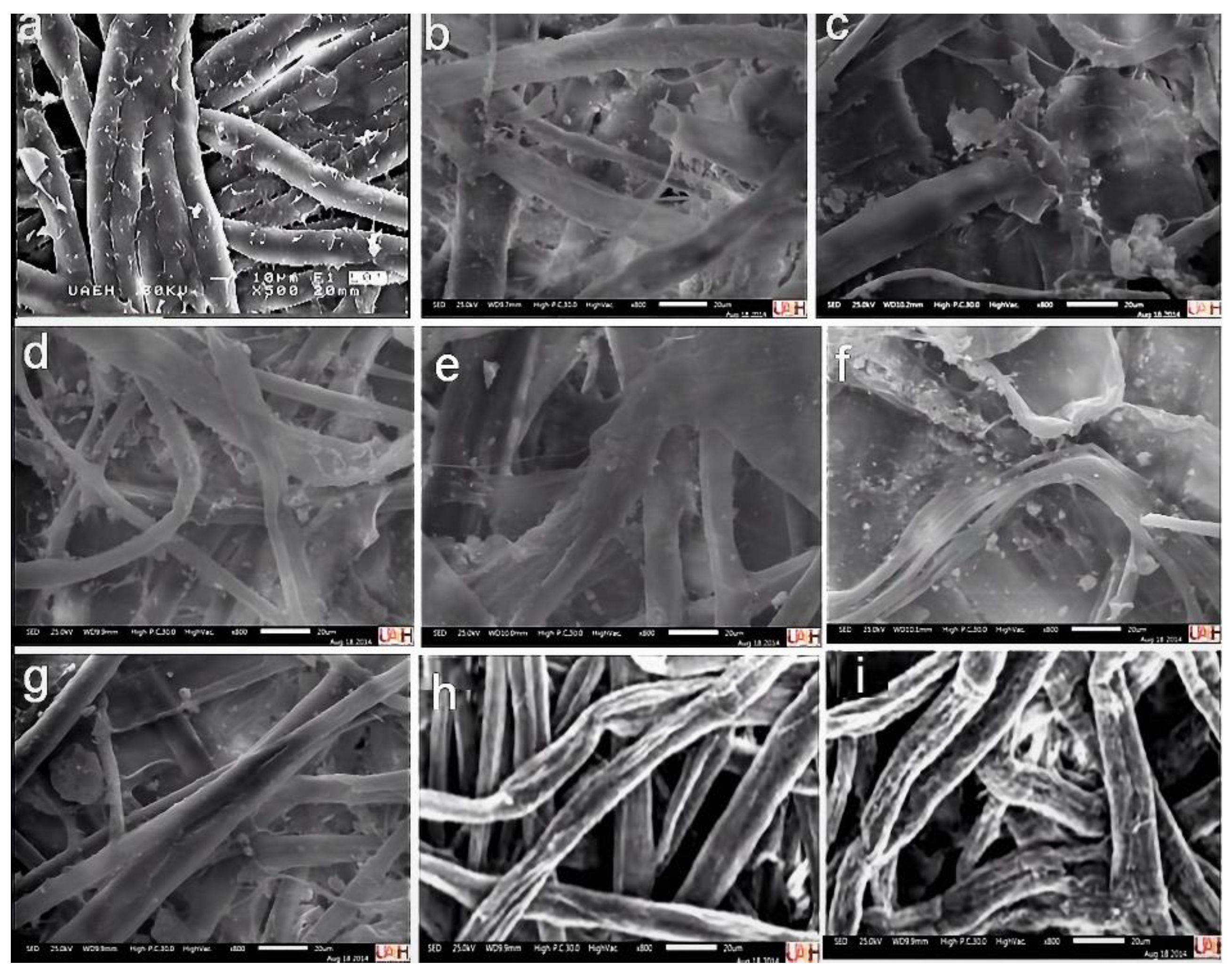 Sustainability 14 12691 g005 Sustainability 14 12691 g005