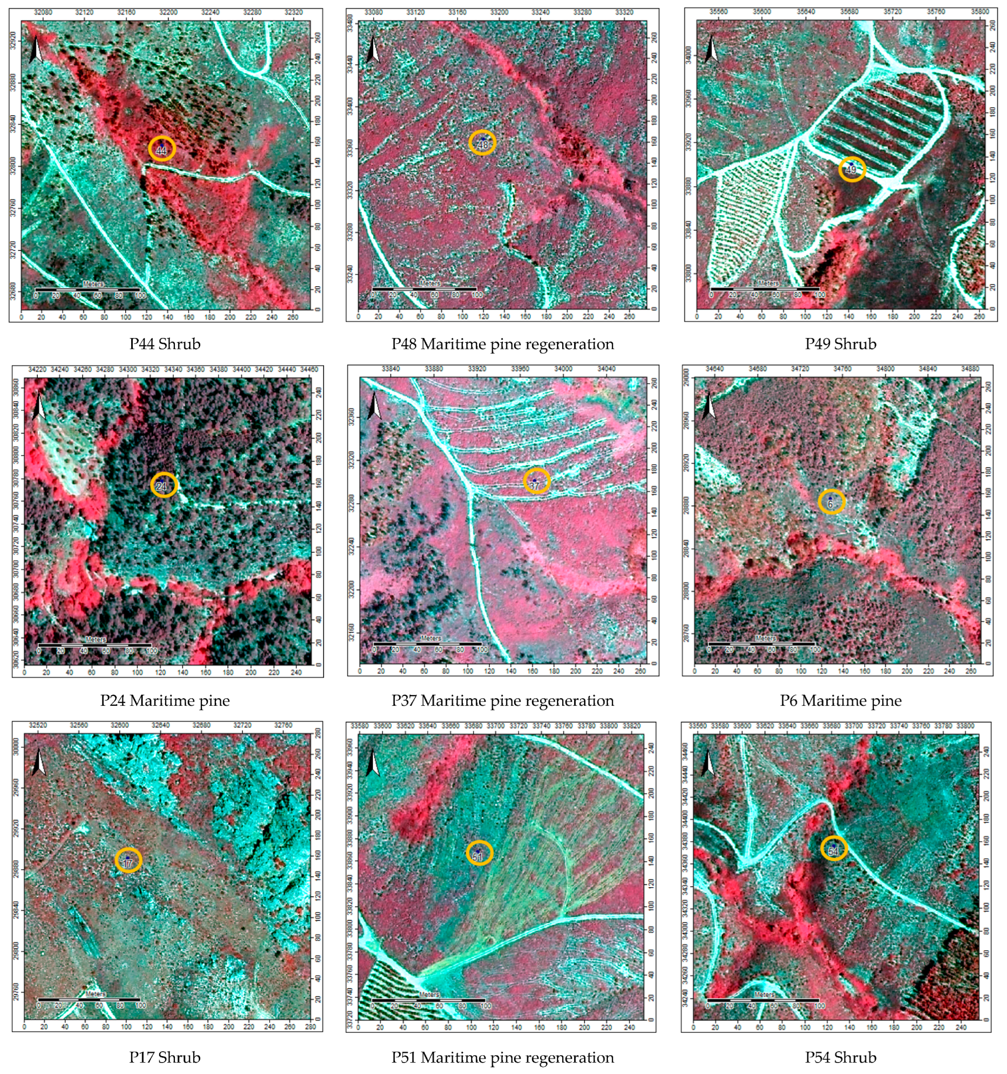 Sustainability 14 12698 g0a3 Sustainability 14 12698 g0a3