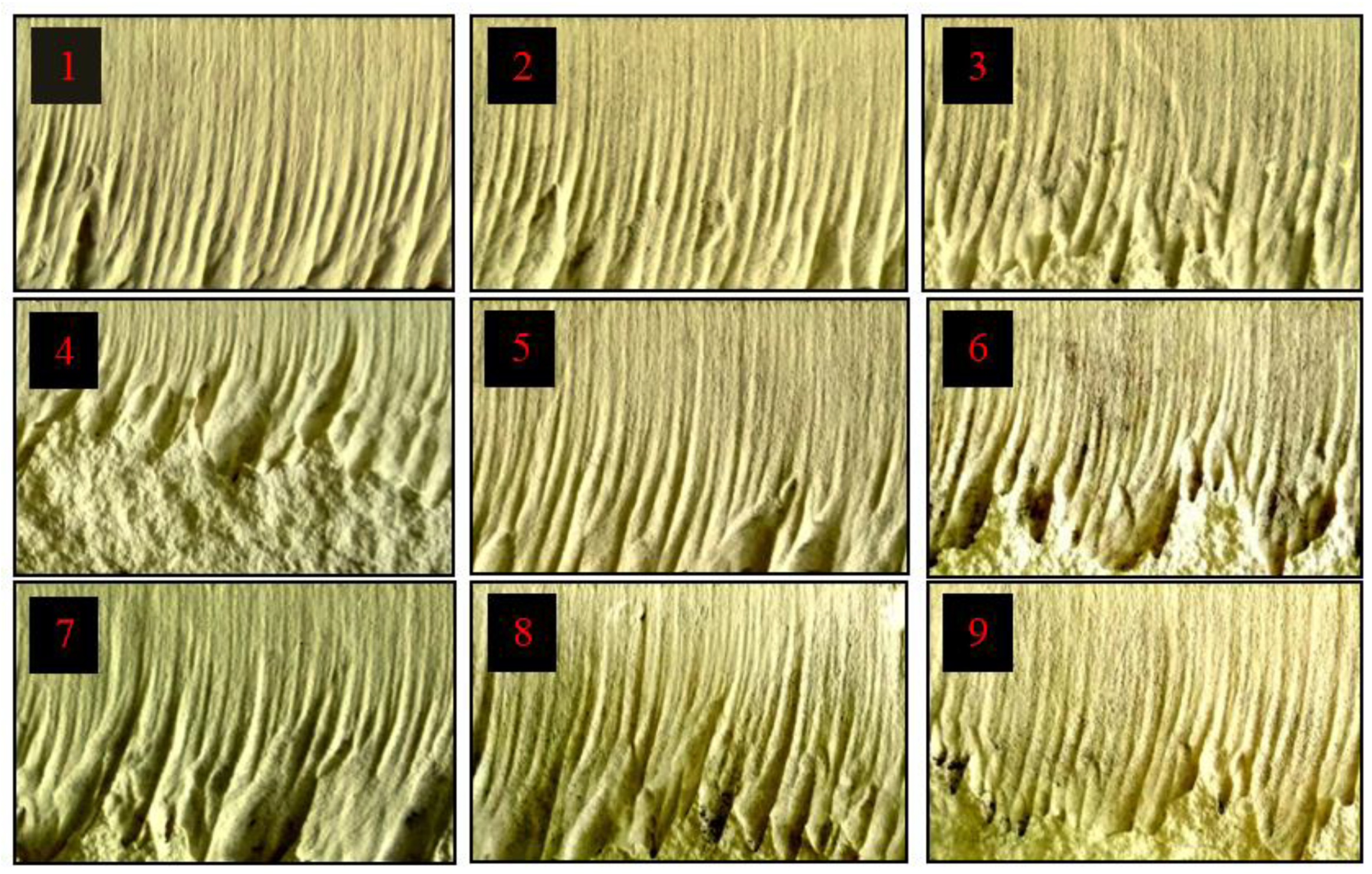 Sustainability 14 12704 g003 Sustainability 14 12704 g003