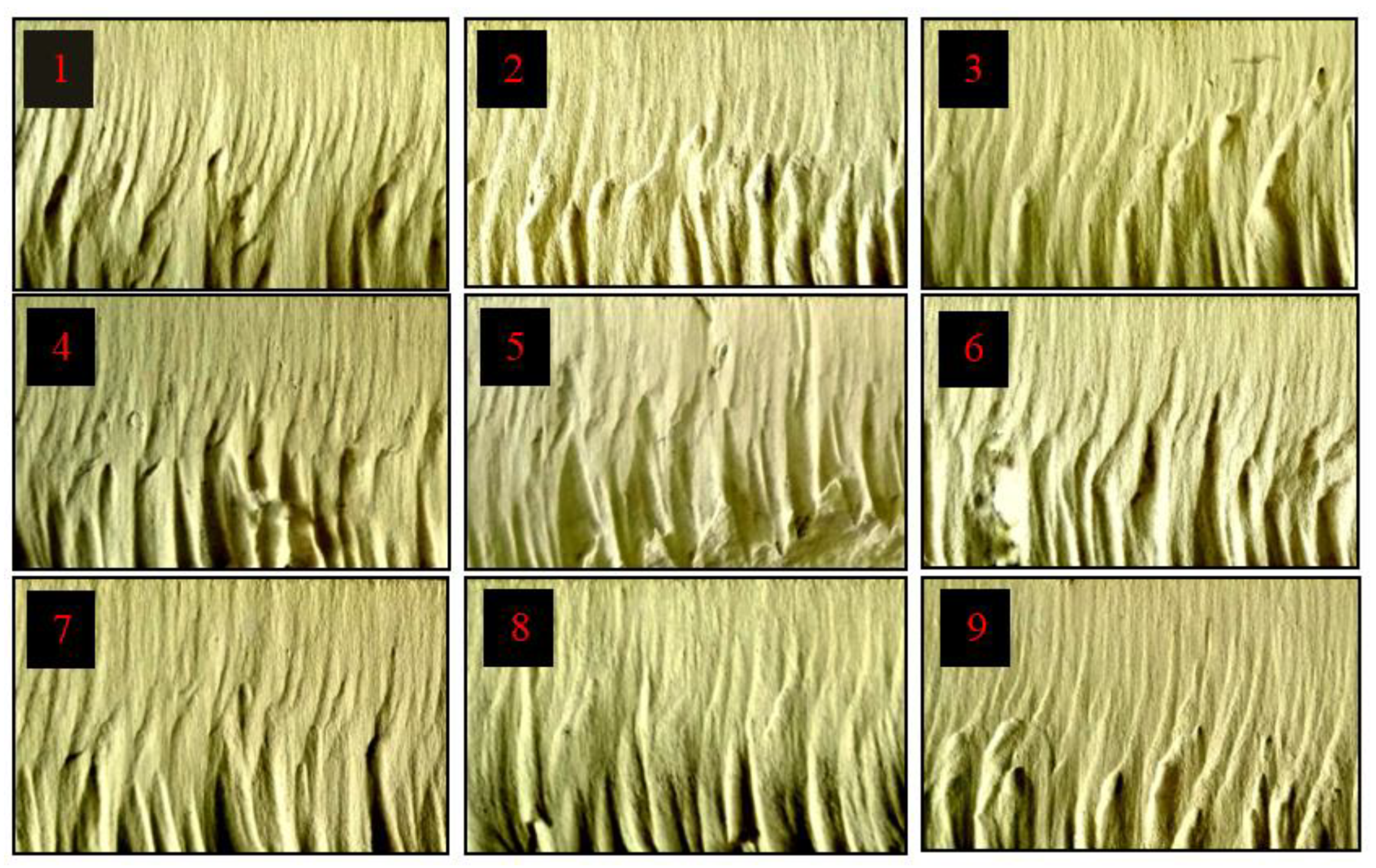 Sustainability 14 12704 g004 Sustainability 14 12704 g004