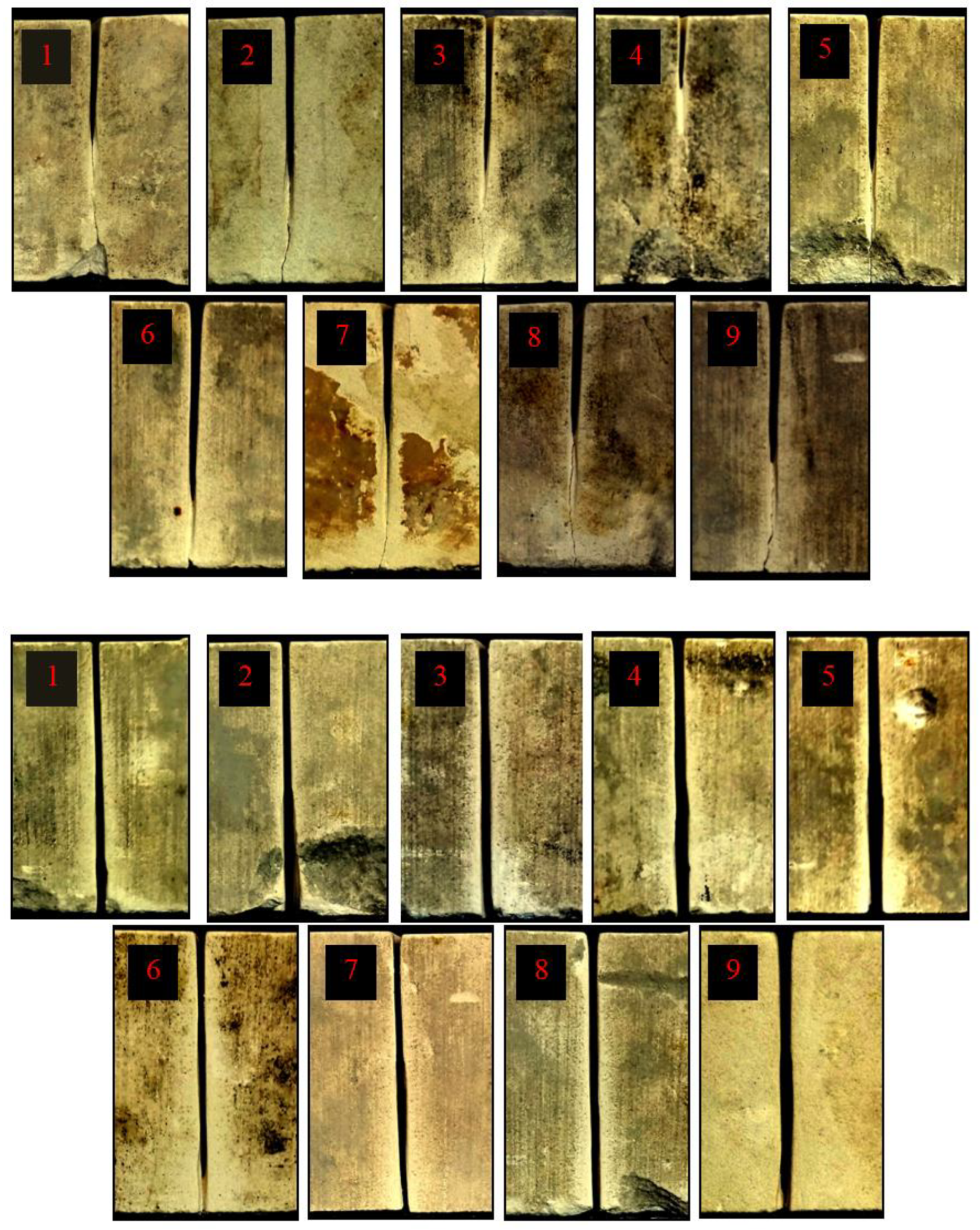 Sustainability 14 12704 g006 Sustainability 14 12704 g006