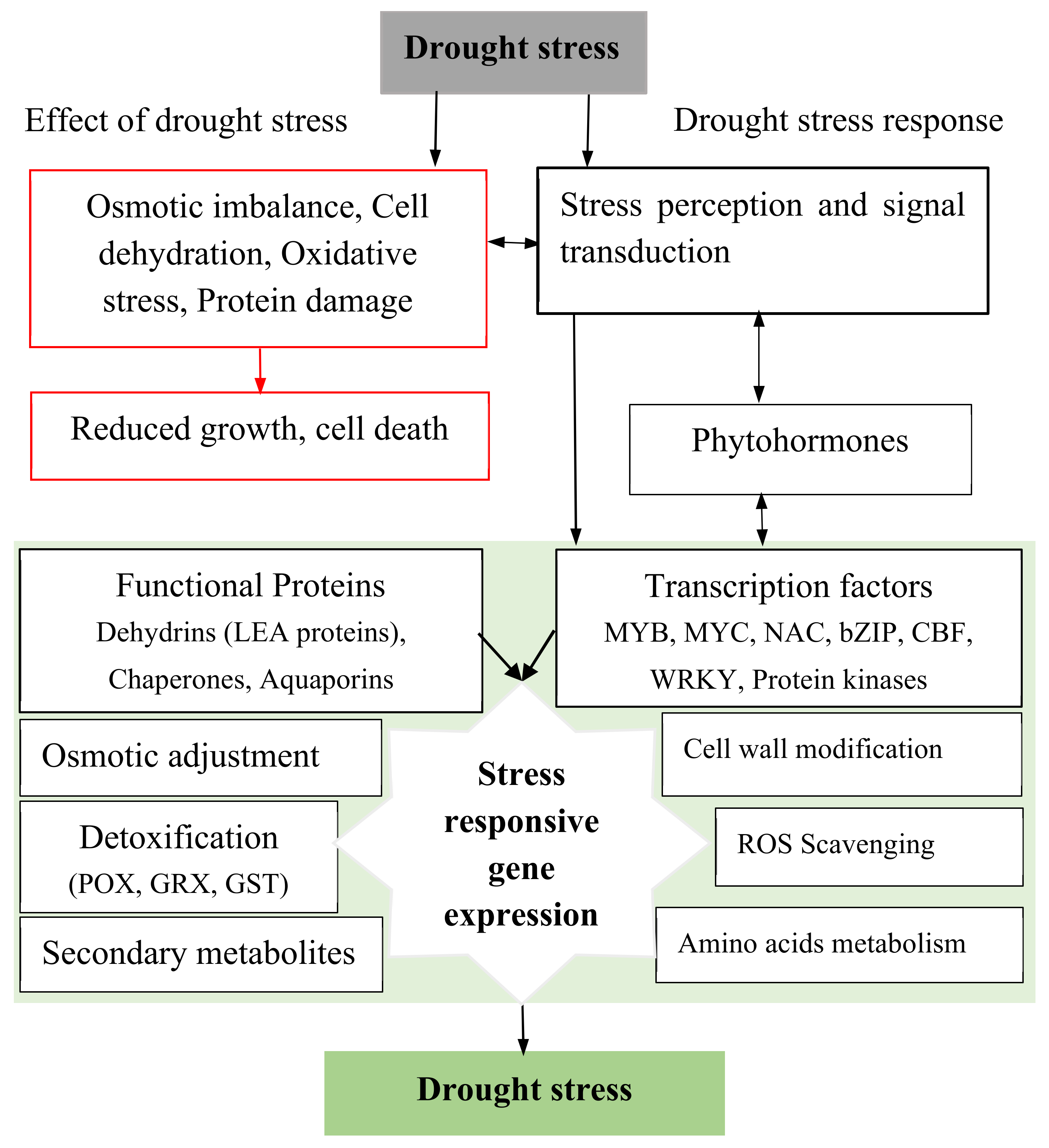 Sustainability 14 12722 g002 Sustainability 14 12722 g002