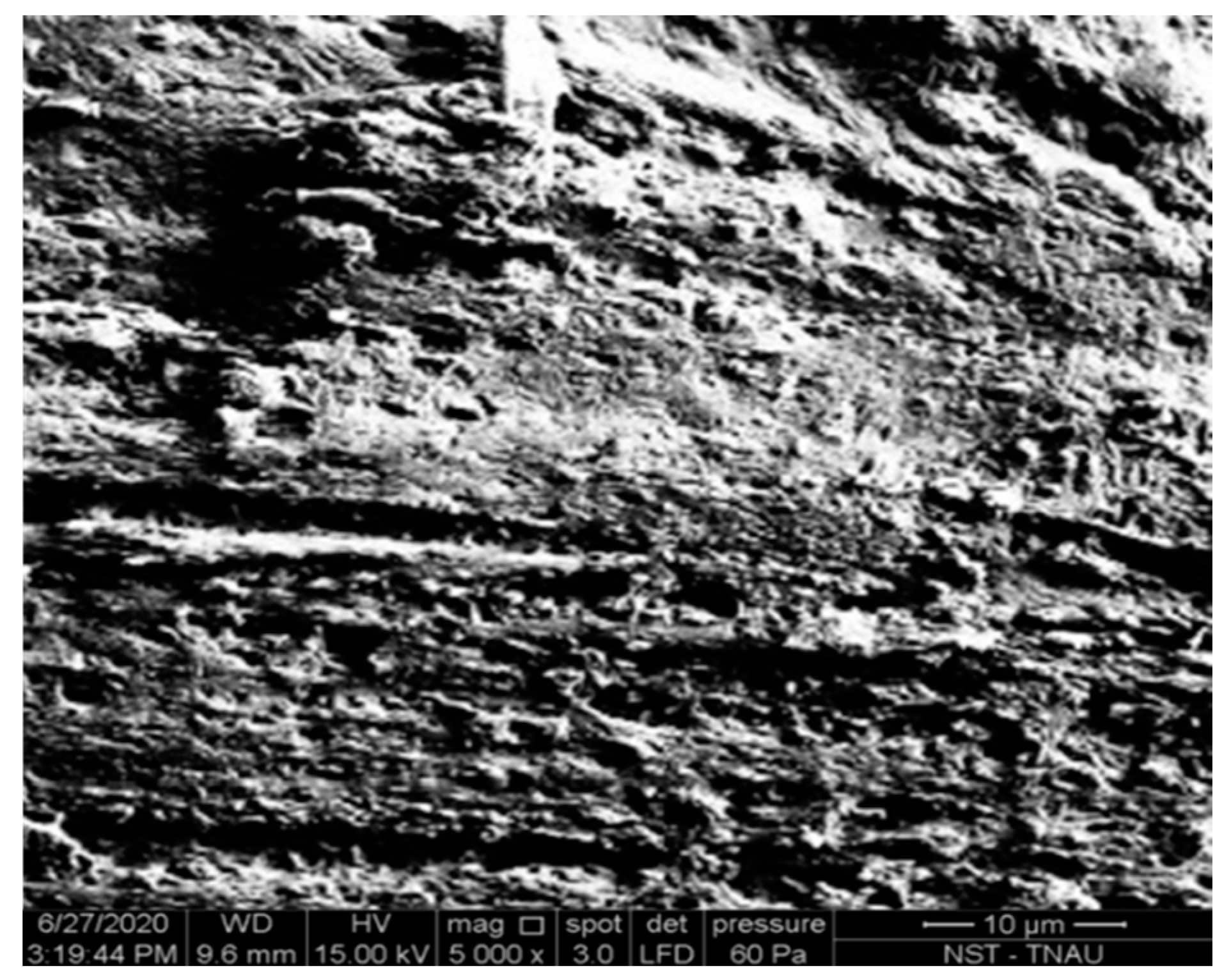 Sustainability 14 12732 g011