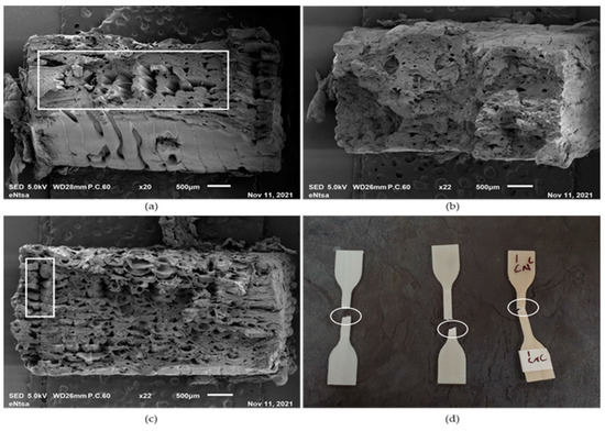 Mechanical and Shape Memory Properties of 3D-Printed Cellulose ...