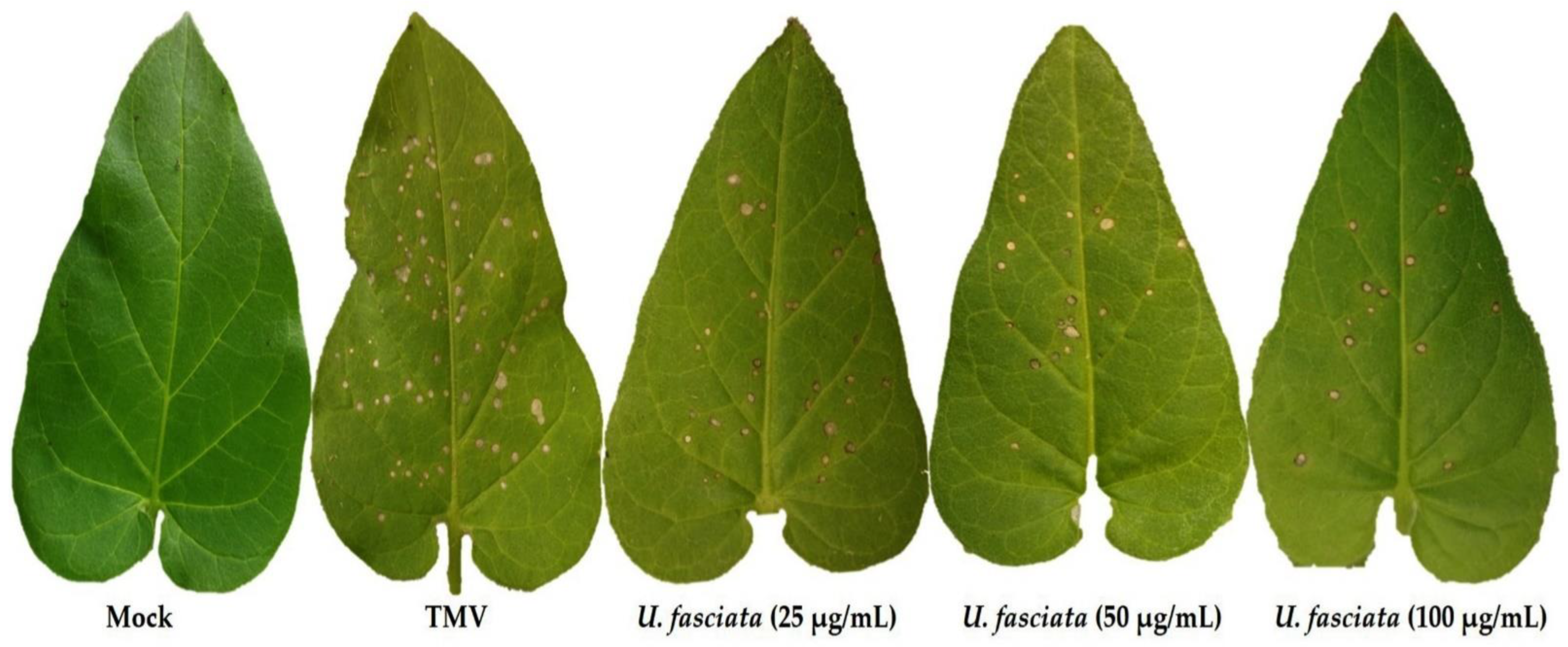 Sustainability 14 12799 g001 Sustainability 14 12799 g001