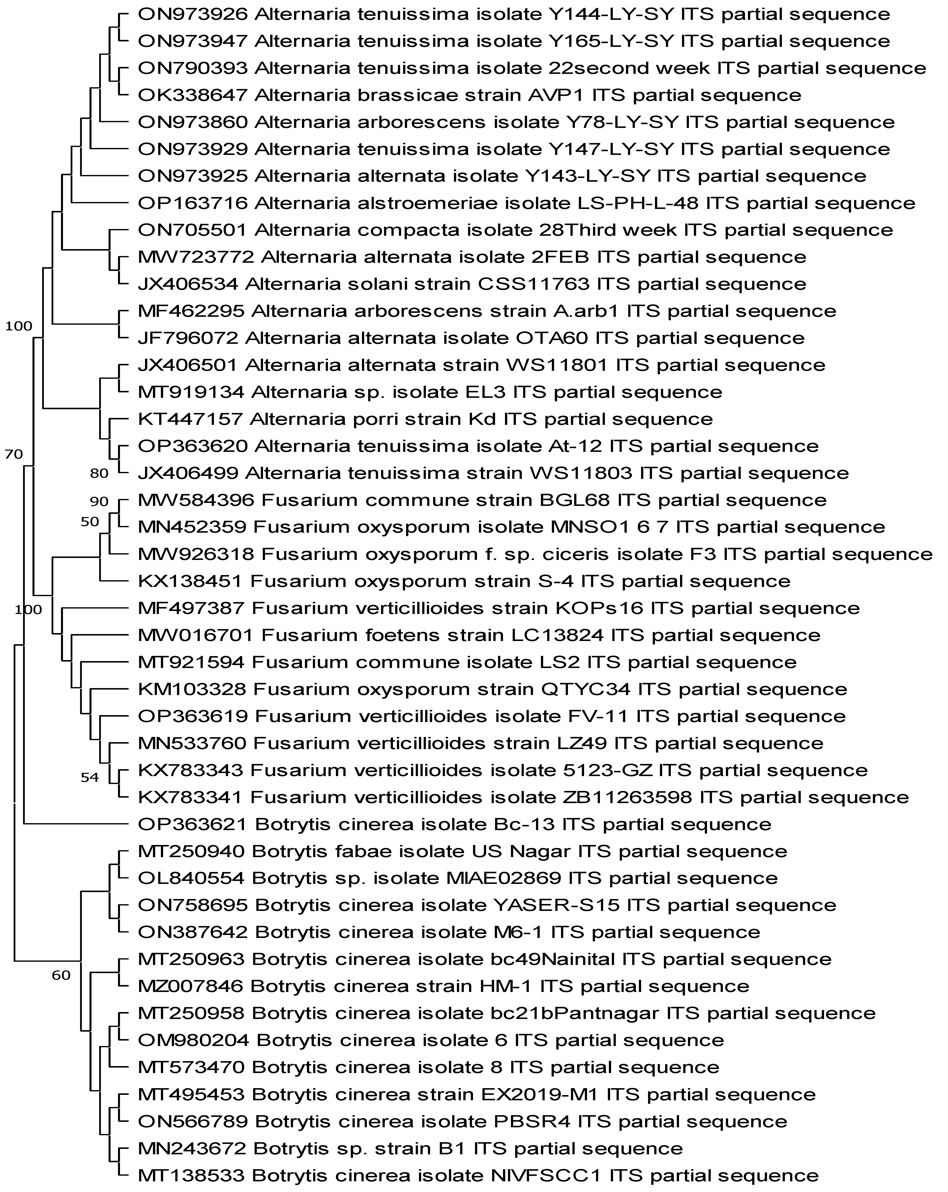 Sustainability 14 12799 g003 Sustainability 14 12799 g003