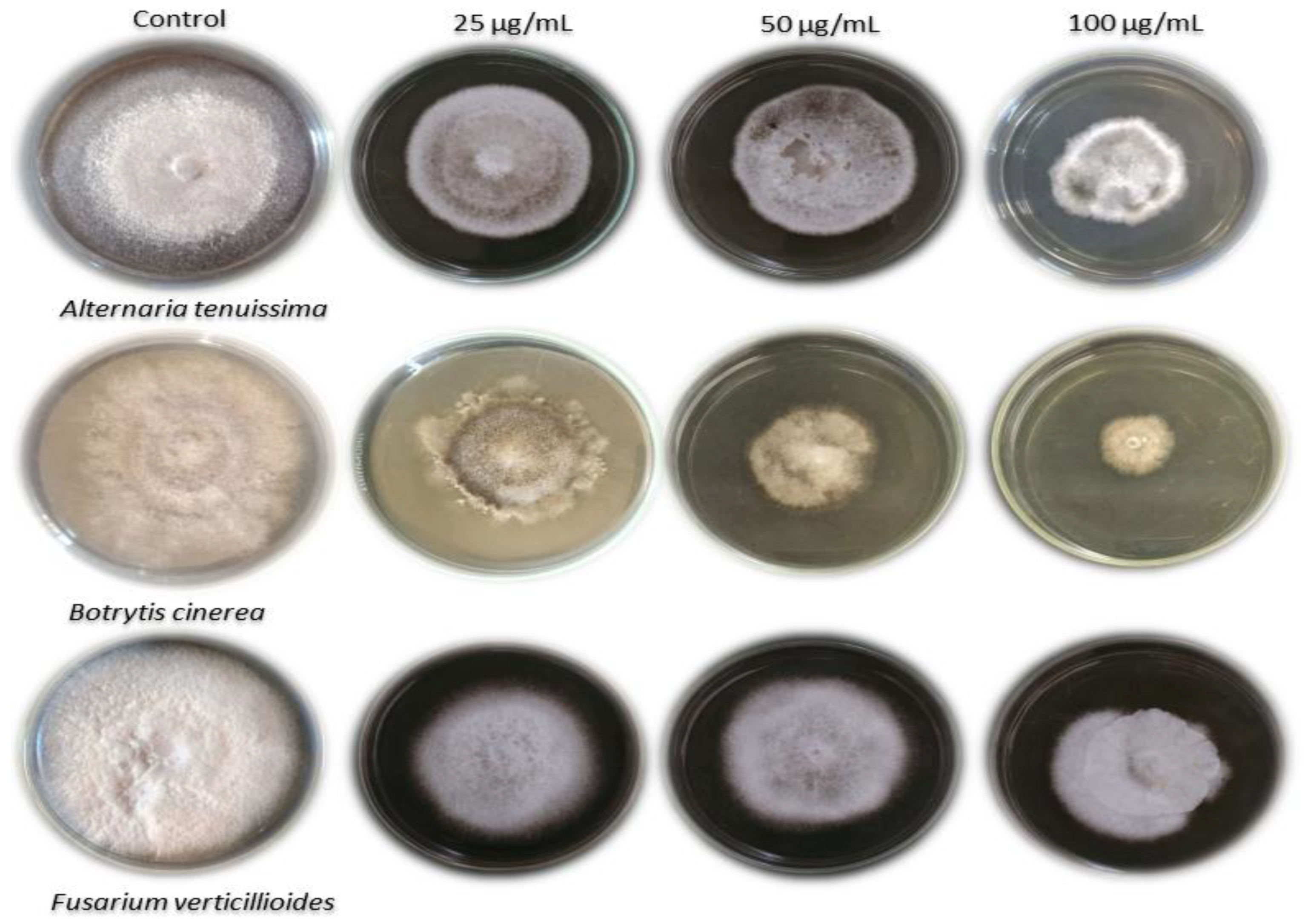 Sustainability 14 12799 g004 Sustainability 14 12799 g004