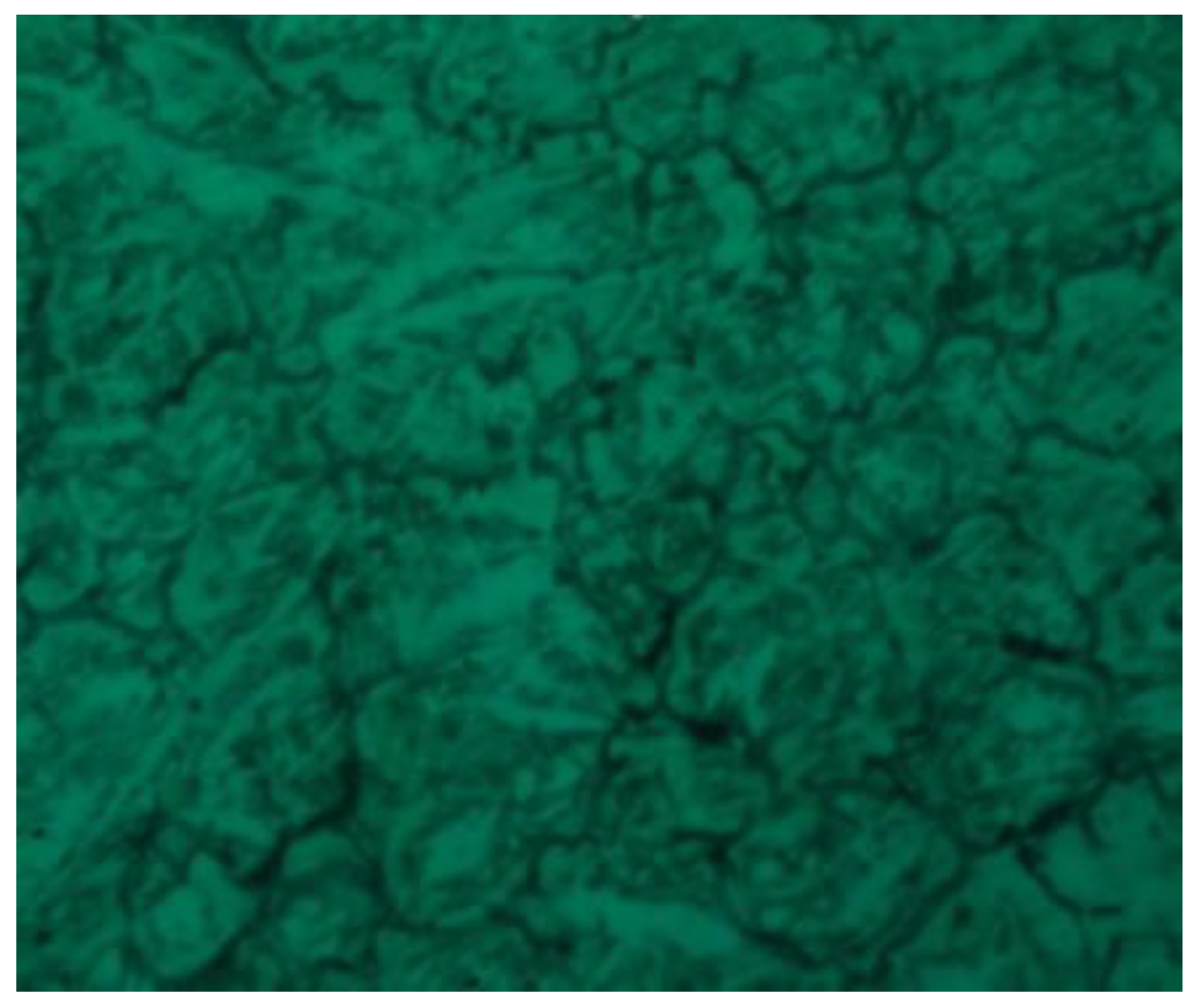 Sustainability 14 12819 g018