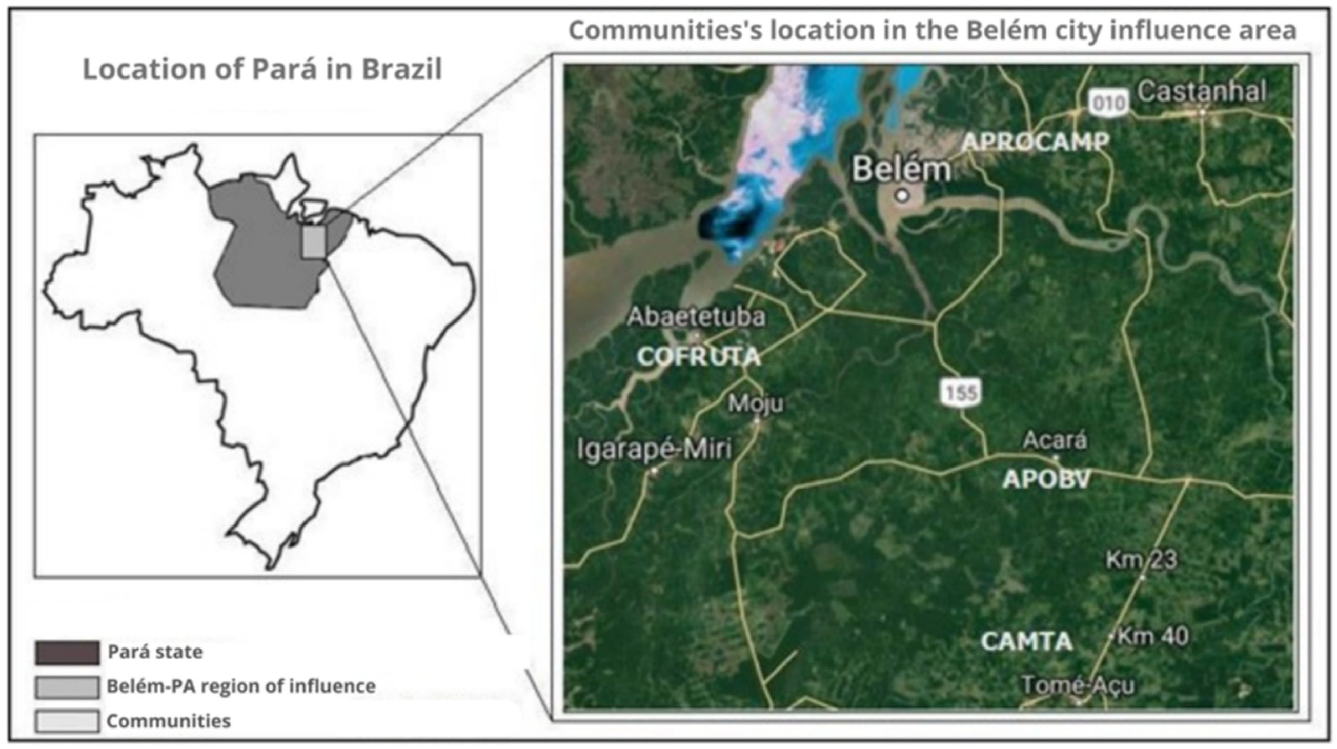 Sustainability 14 12826 g001