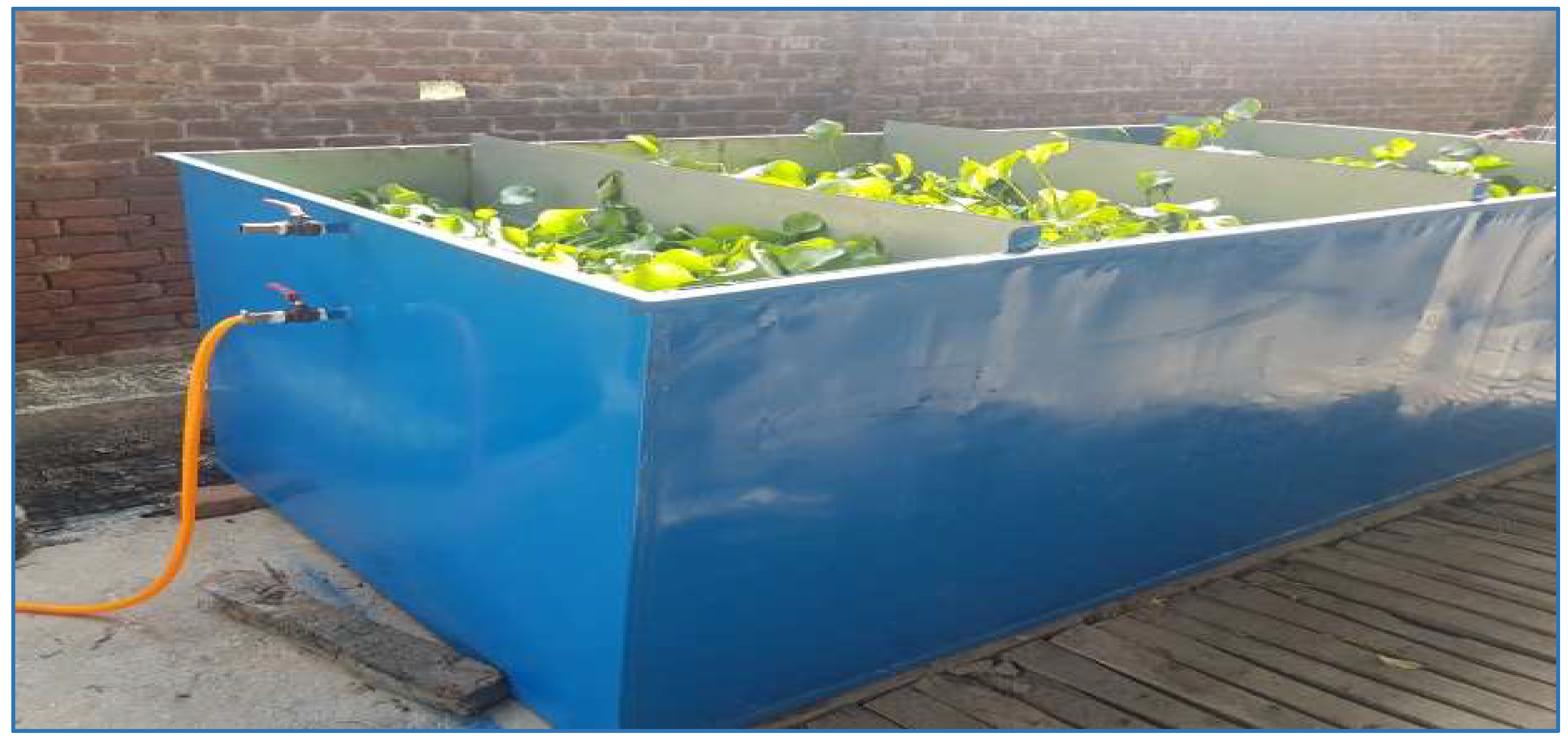 Sustainability 14 12854 g002