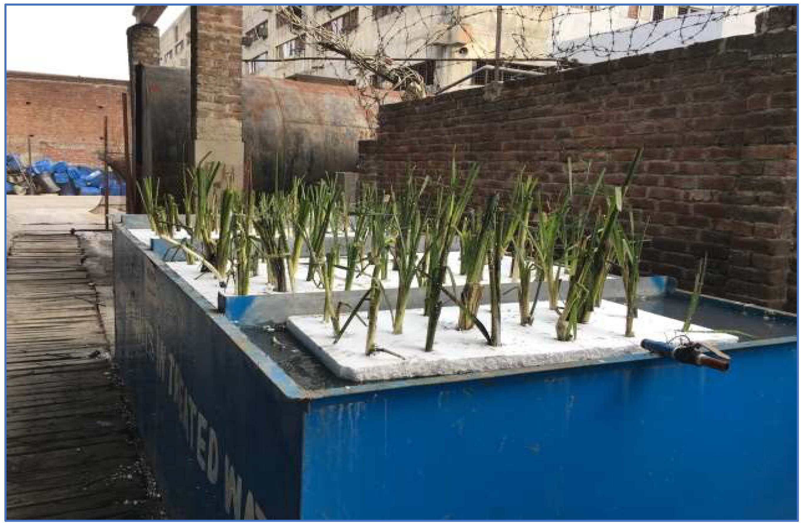 Sustainability 14 12854 g004