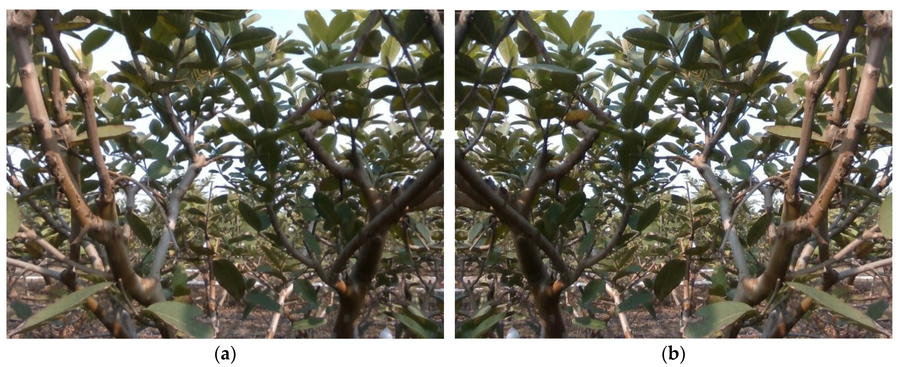 Sustainability 14 12899 g003