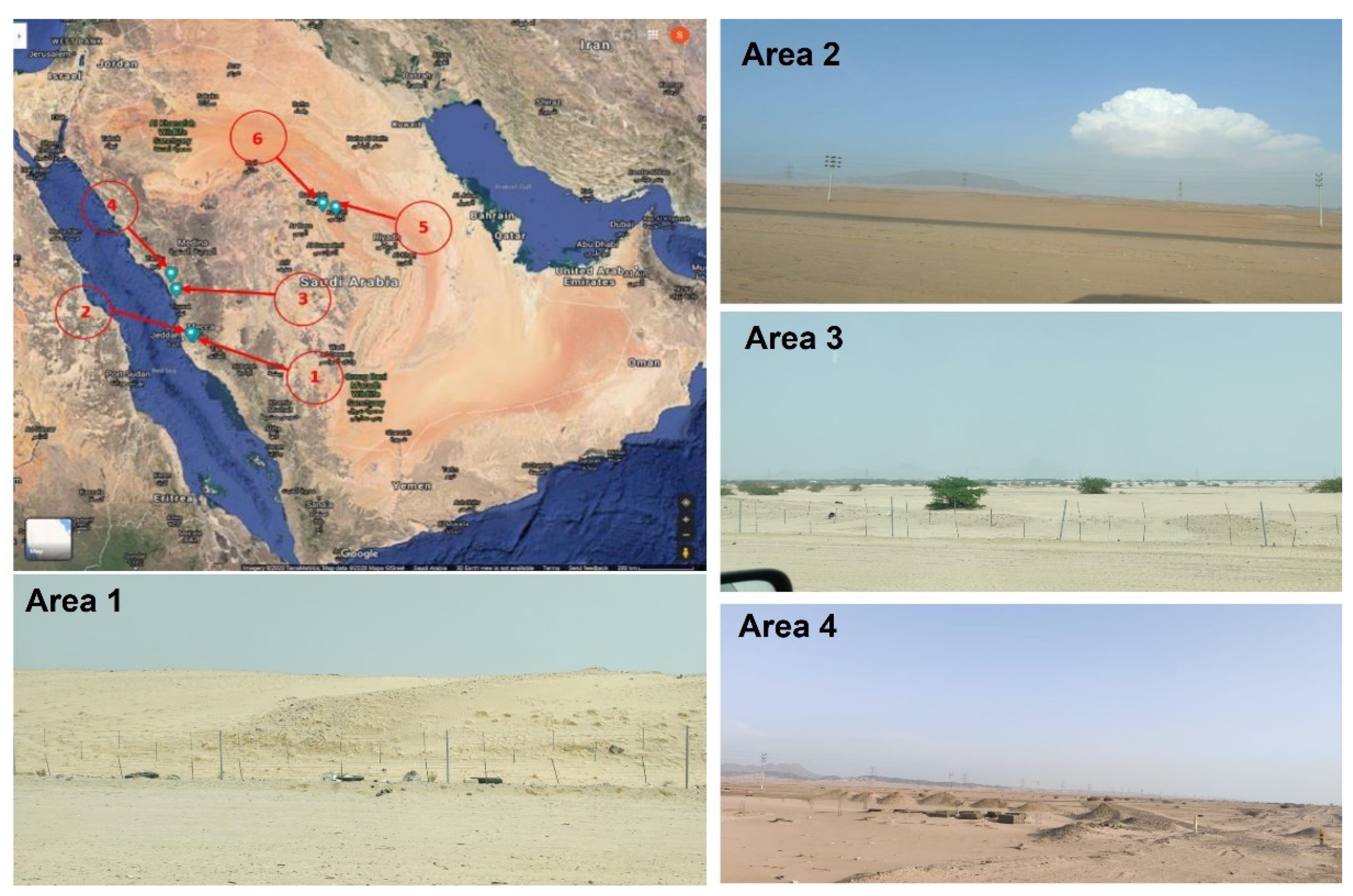 Sustainability 14 12904 g001 550