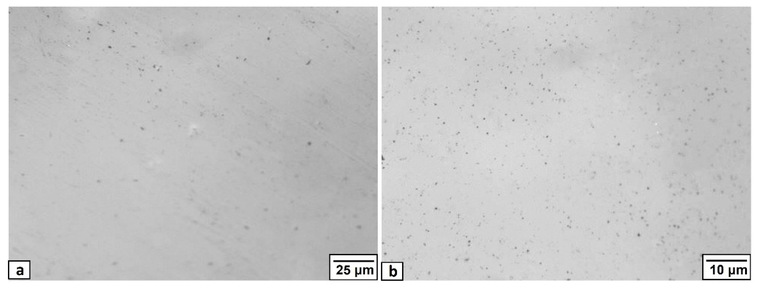 Sustainability 14 12904 g002 550