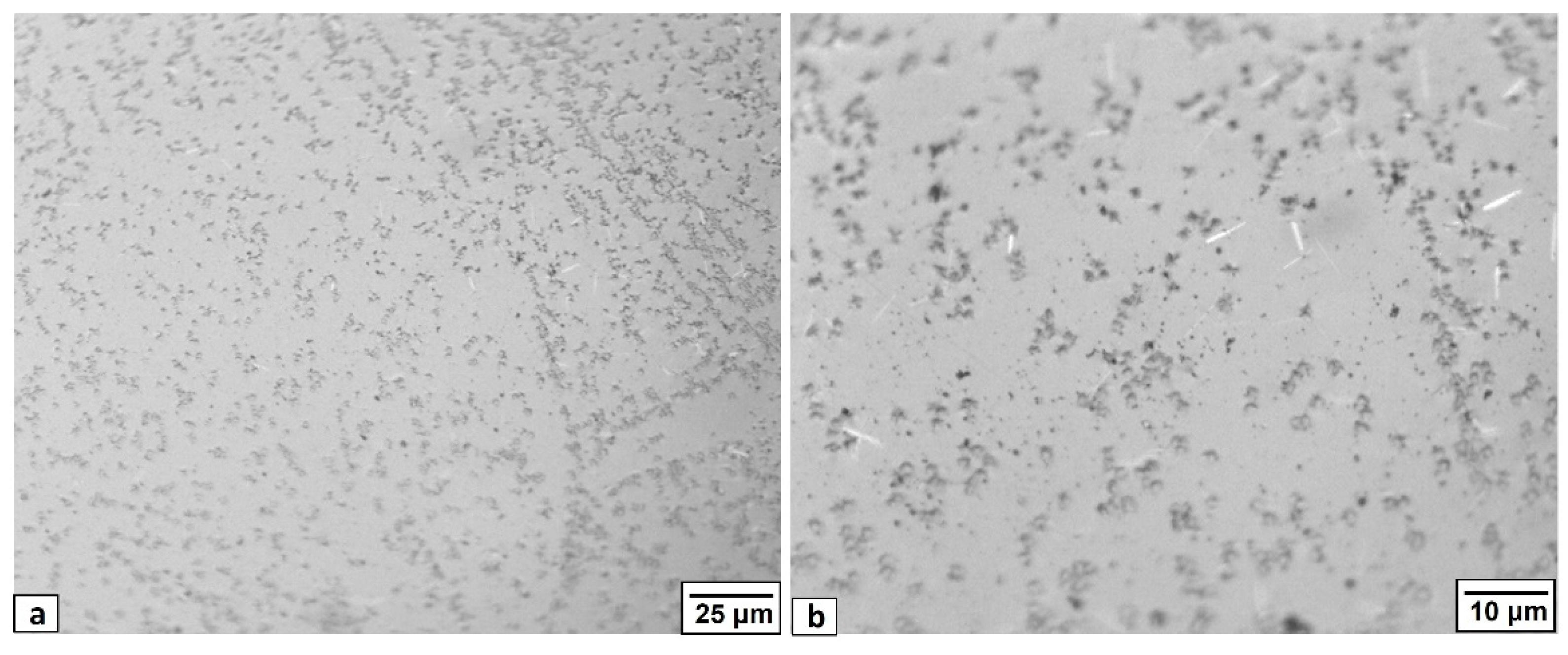 Sustainability 14 12904 g003 550