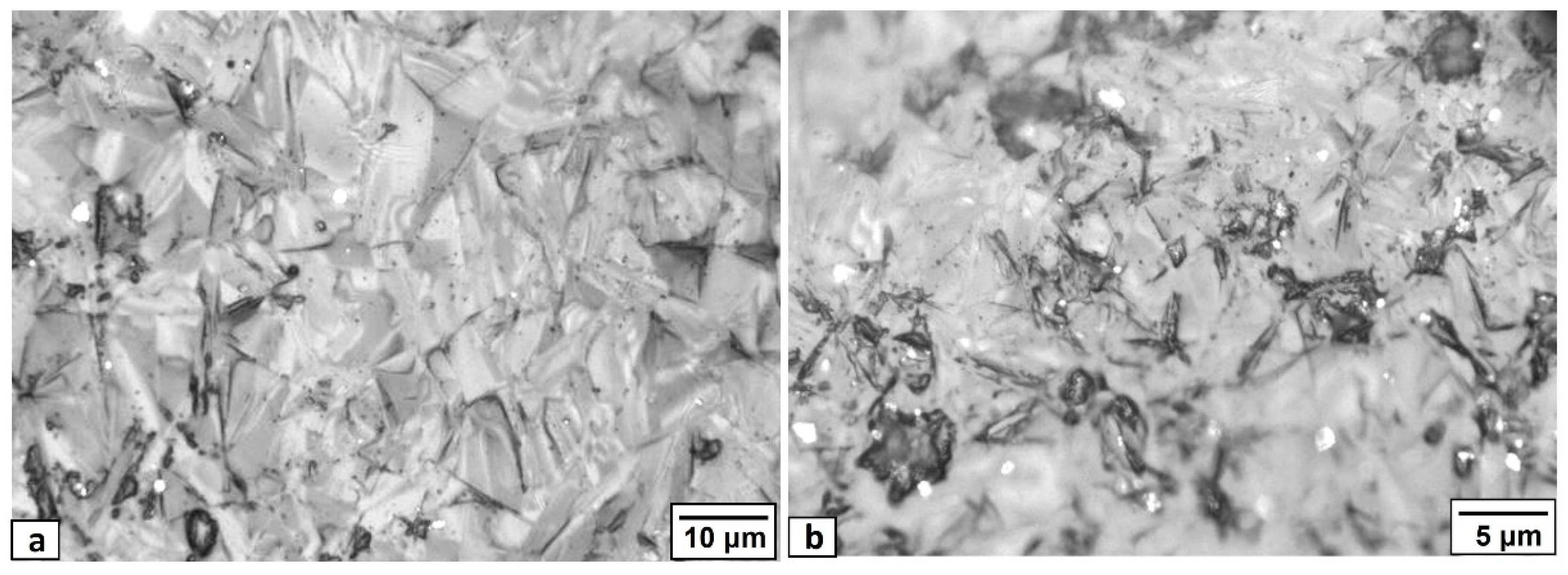 Sustainability 14 12904 g004 550