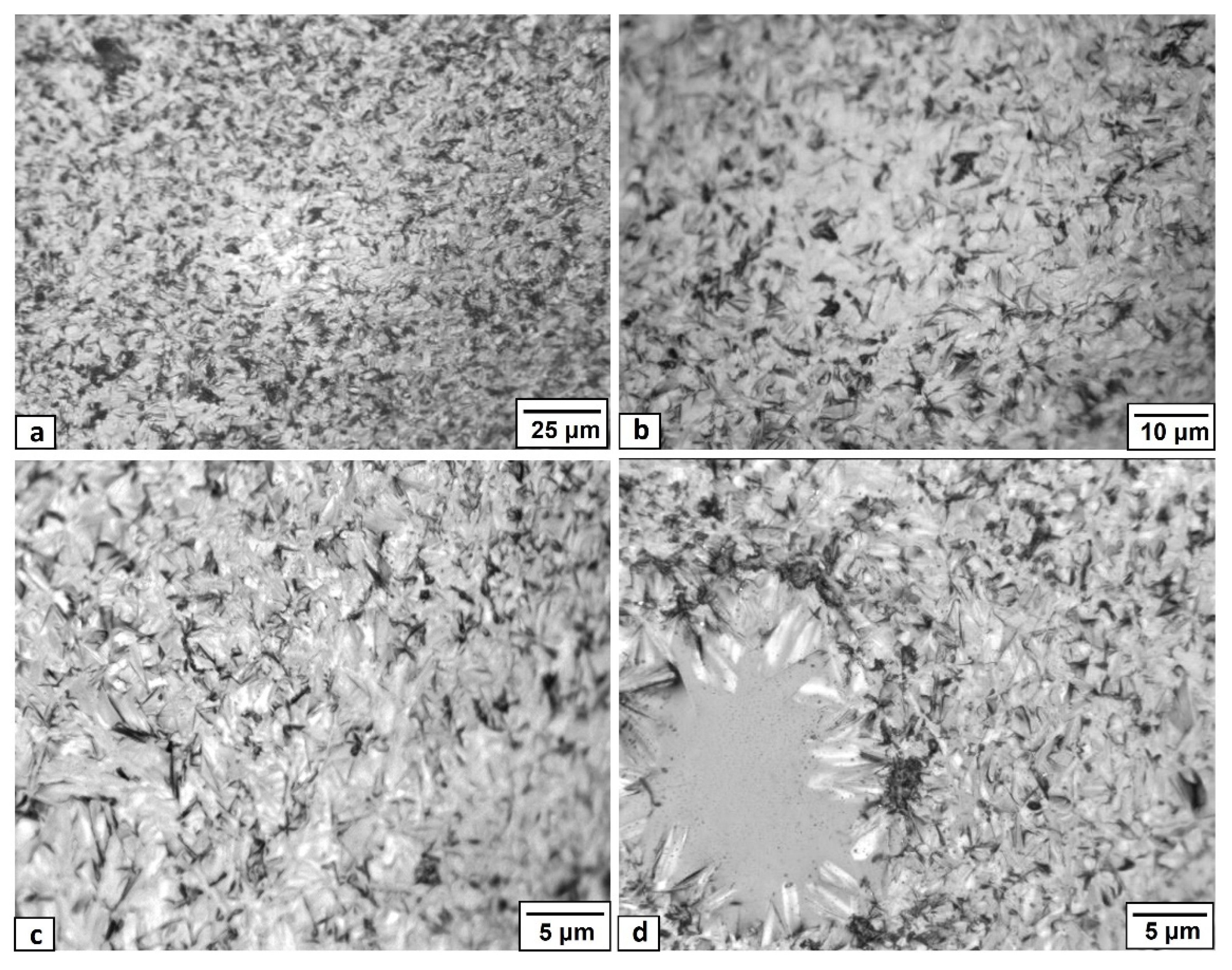 Sustainability 14 12904 g005 550