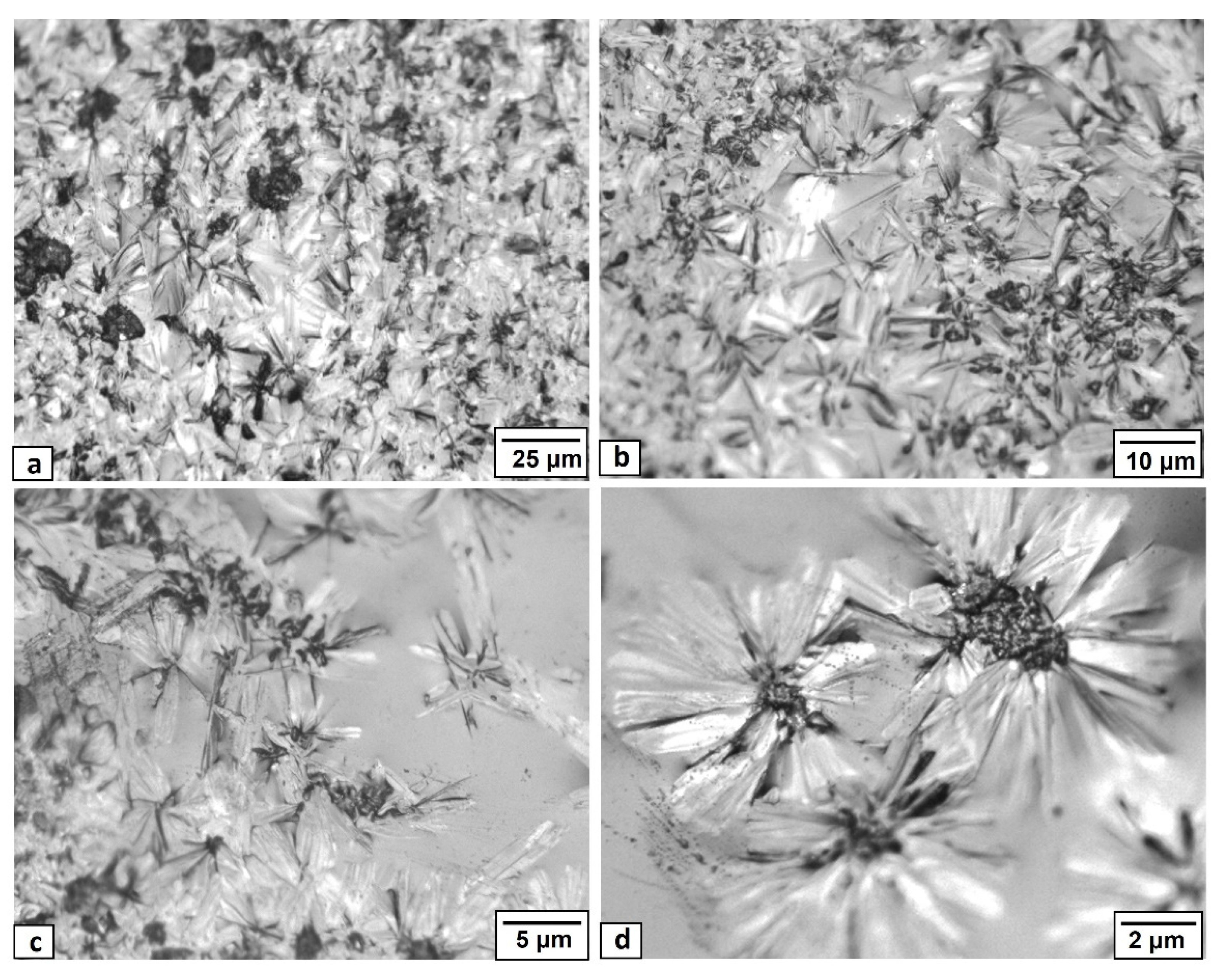 Sustainability 14 12904 g006 550