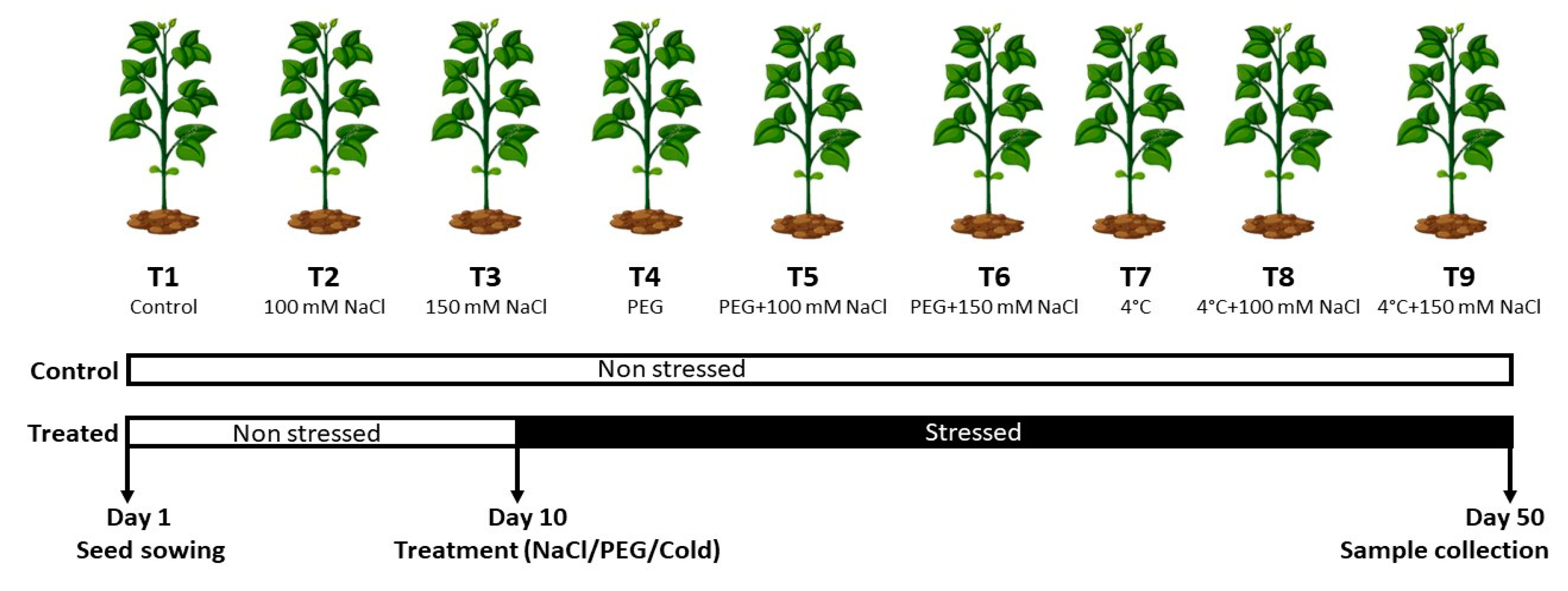 Sustainability 14 12924 g001 Sustainability 14 12924 g001