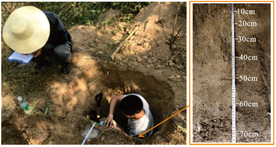 Sustainability 14 12932 g009