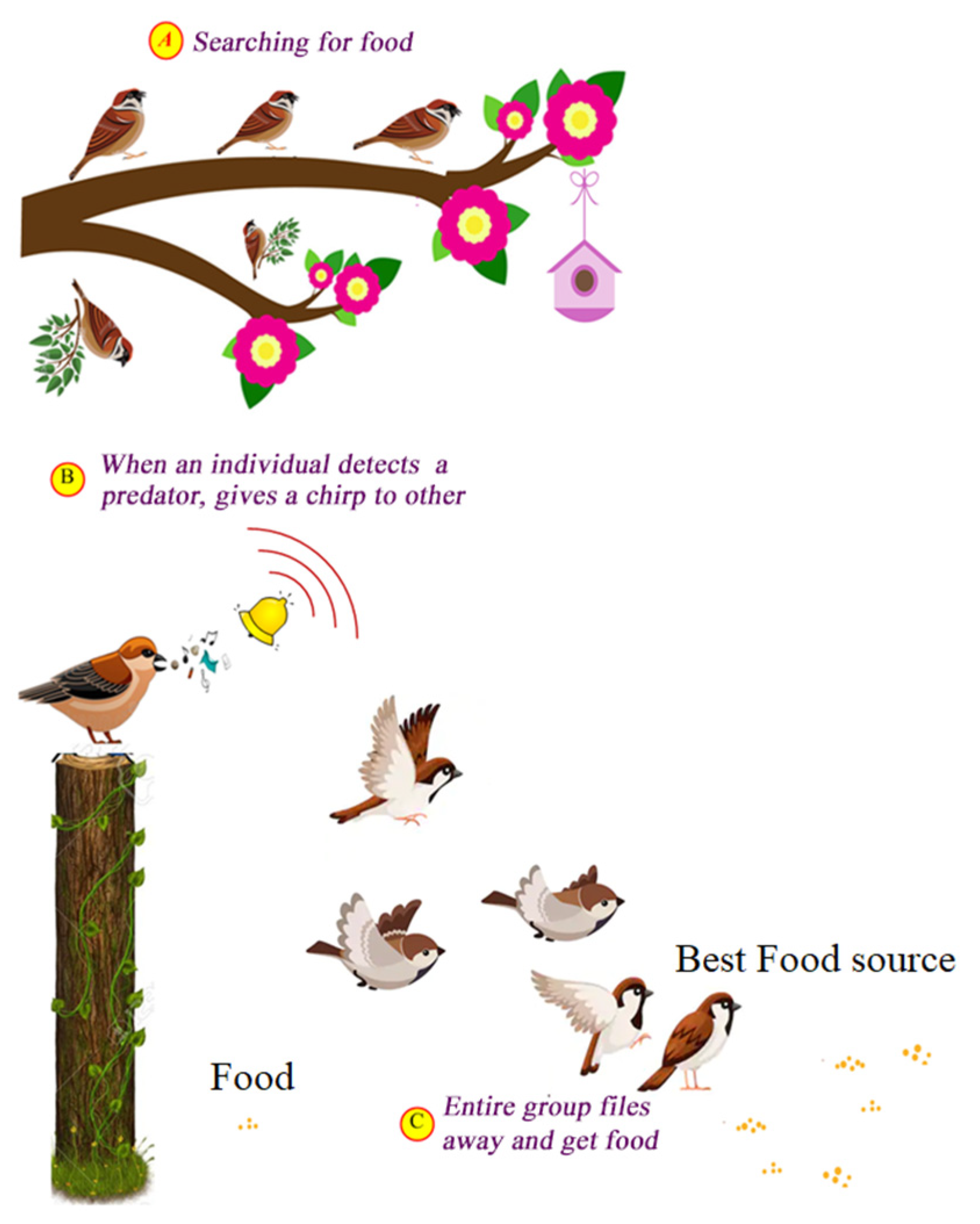 Sustainability 14 12950 g003
