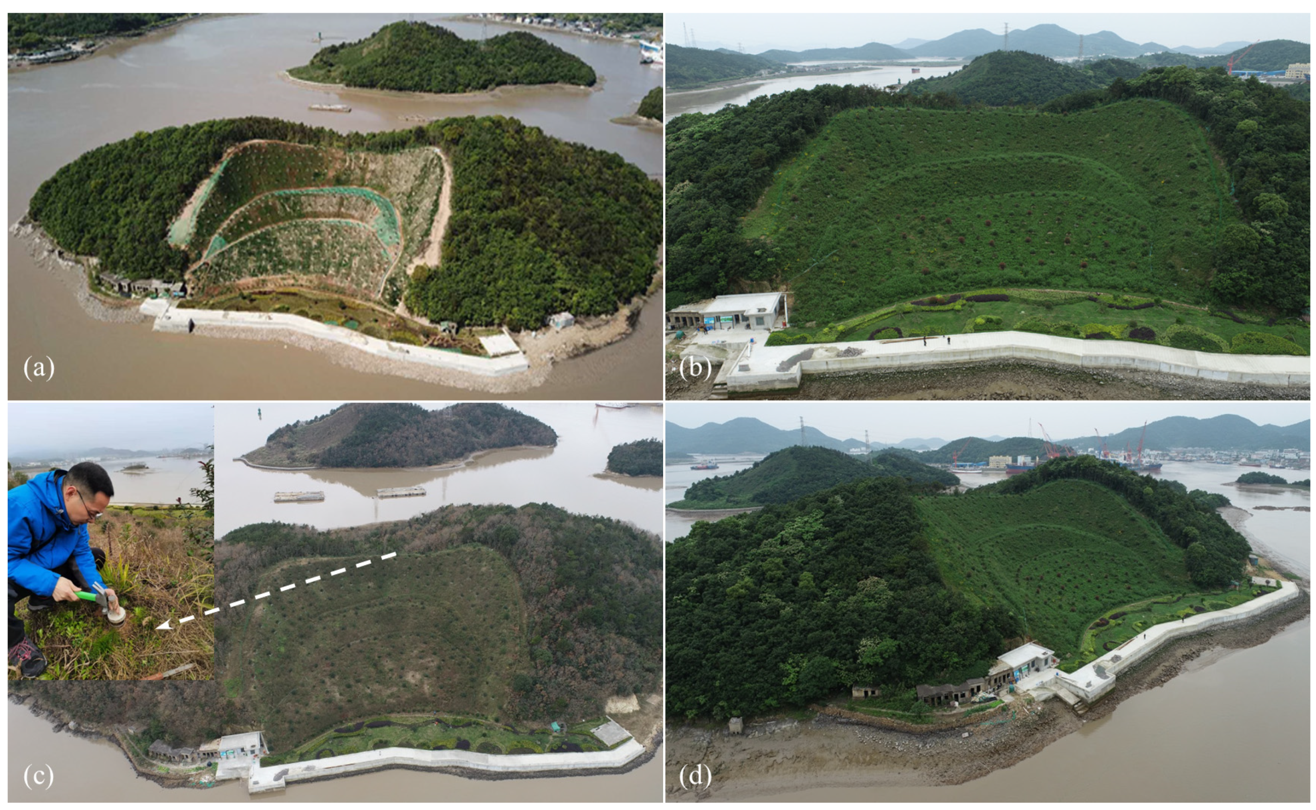 Sustainability 14 12959 g012