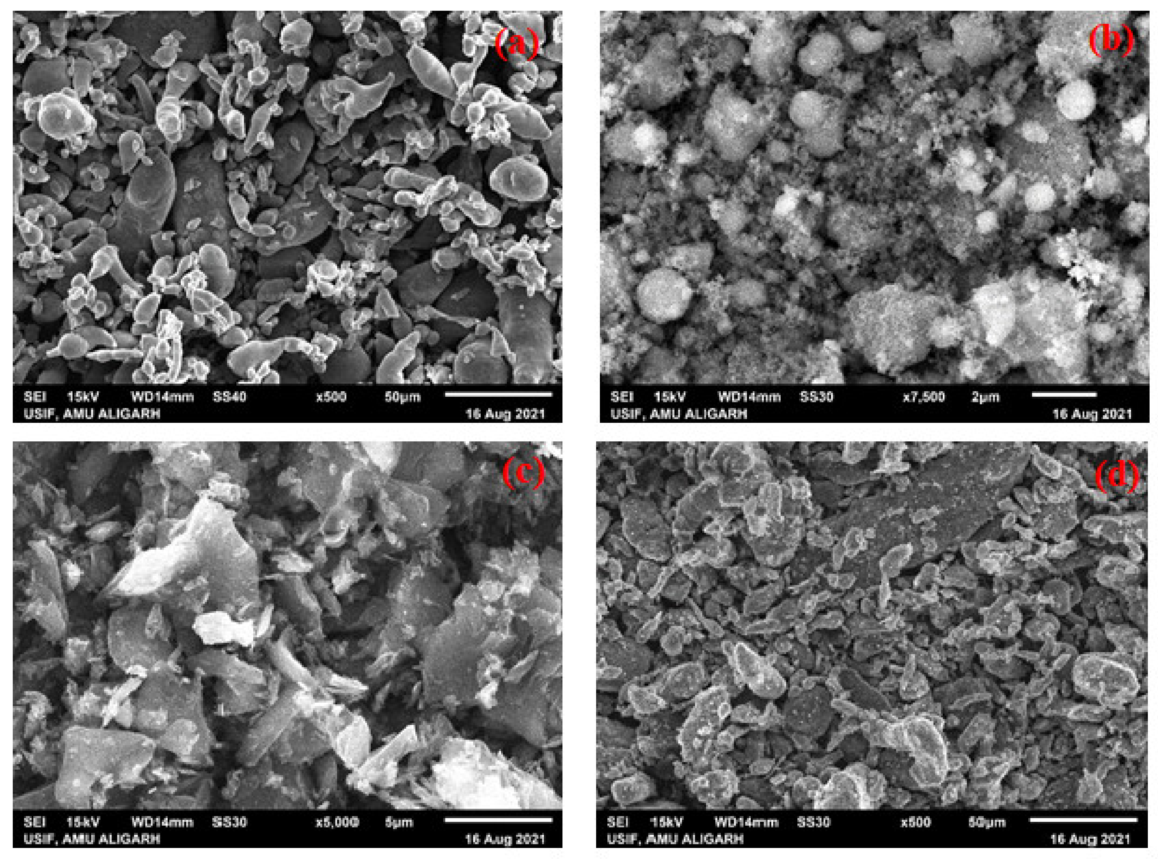 Sustainability 14 12980 g004 Sustainability 14 12980 g004