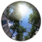 Sustainability 14 13013 i009 Sustainability 14 13013 i009