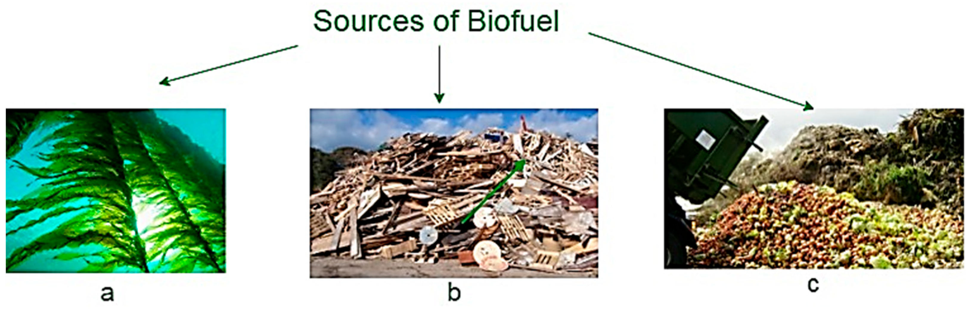 Sustainability 14 13083 g003