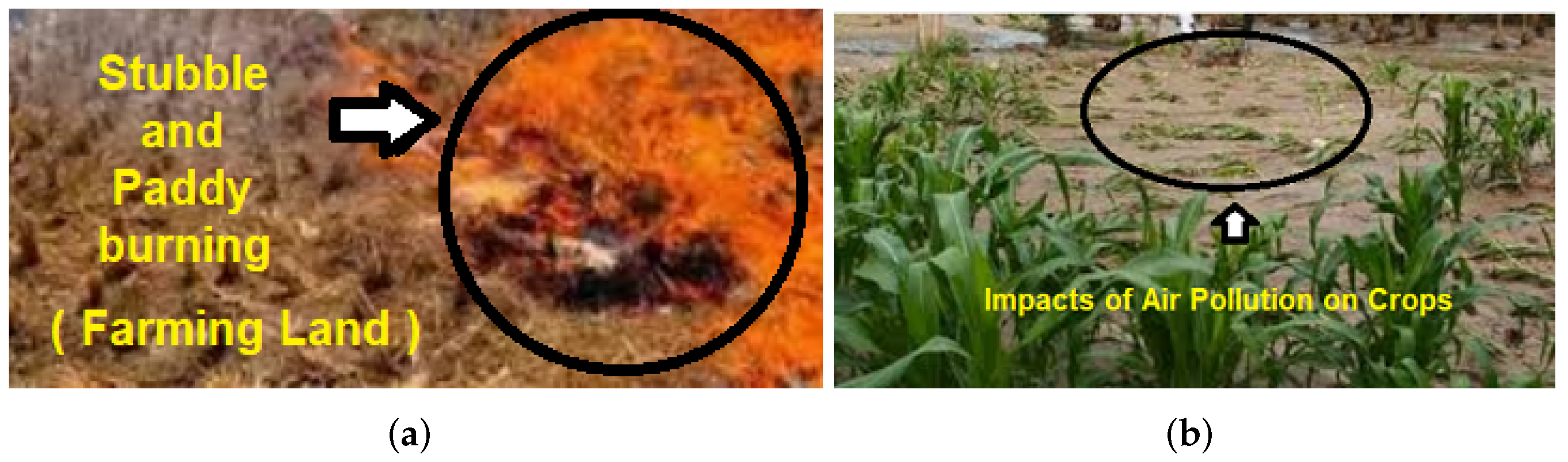 Sustainability 14 13098 g001