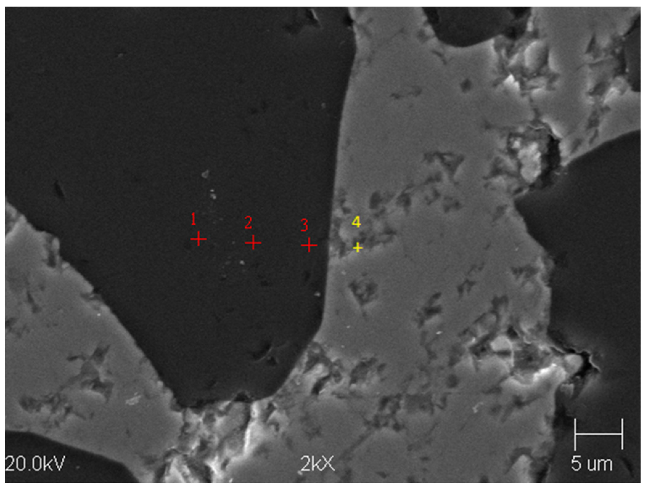 Sustainability 14 13206 g005