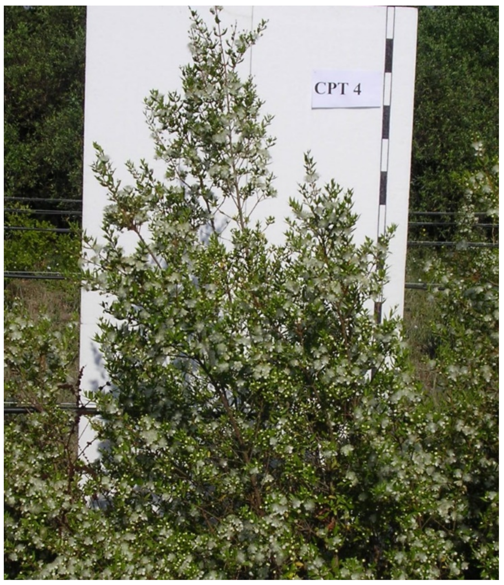 Sustainability 14 13210 g001 Sustainability 14 13210 g001