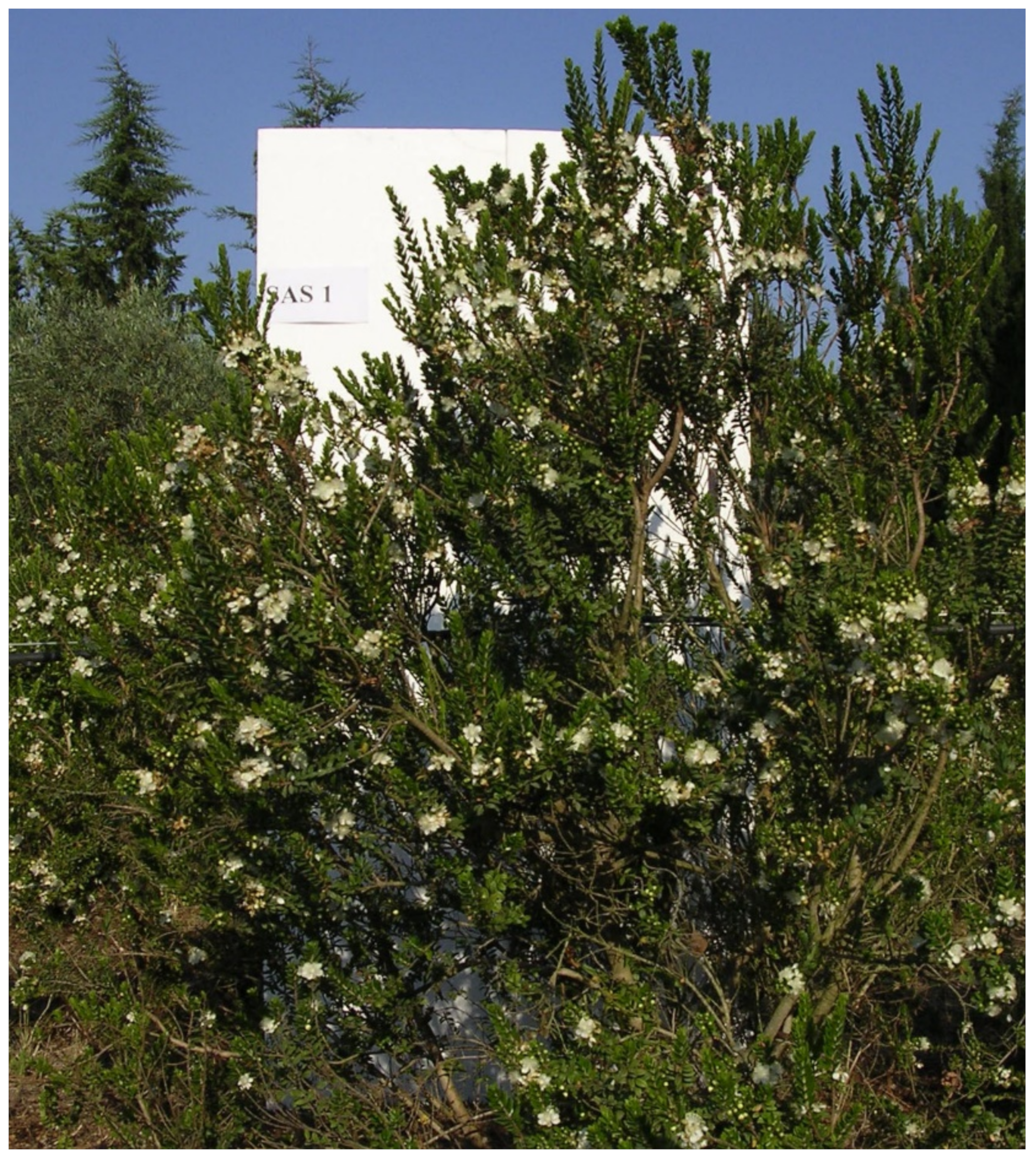 Sustainability 14 13210 g002 Sustainability 14 13210 g002