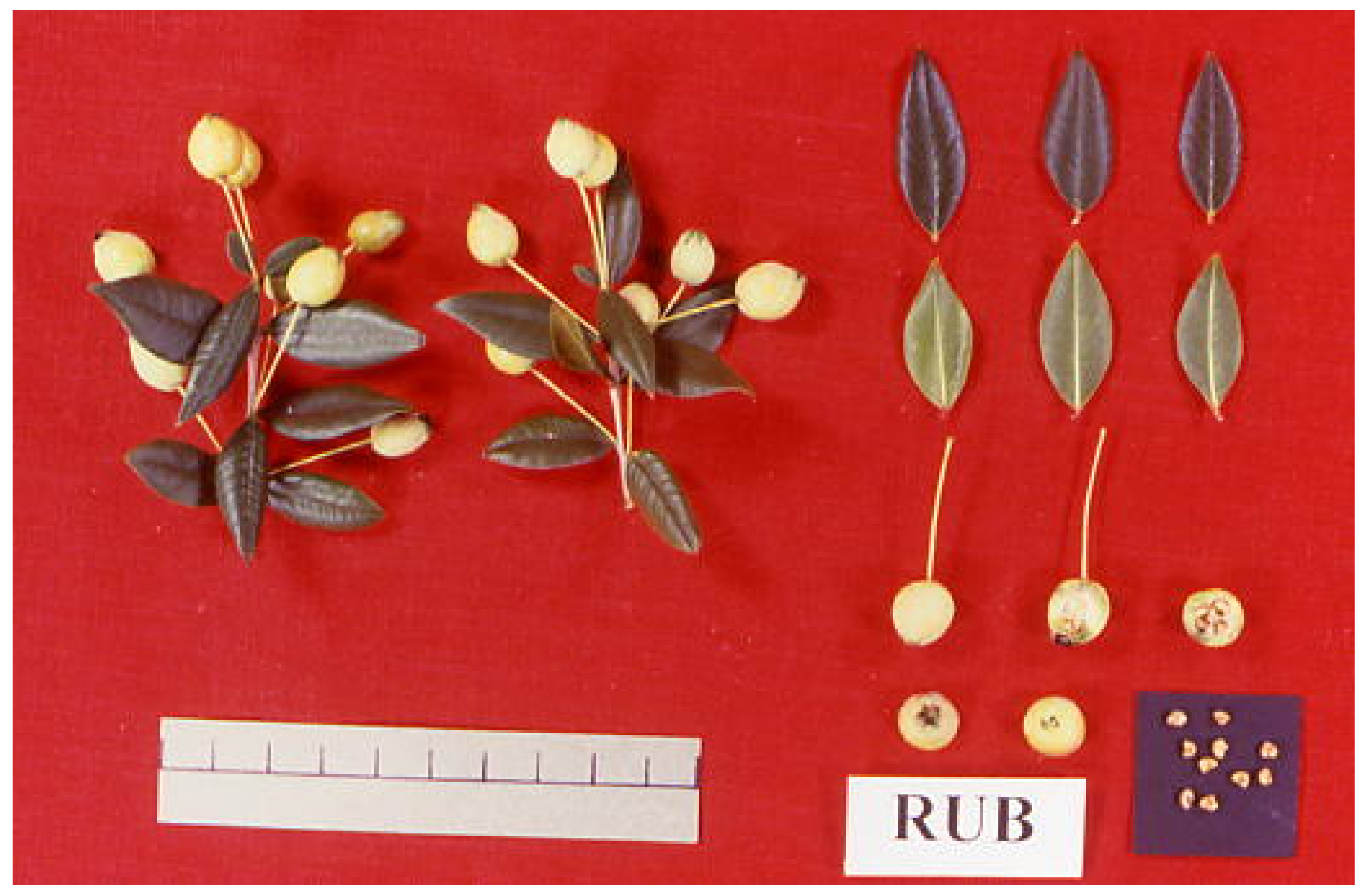 Sustainability 14 13210 g003 Sustainability 14 13210 g003