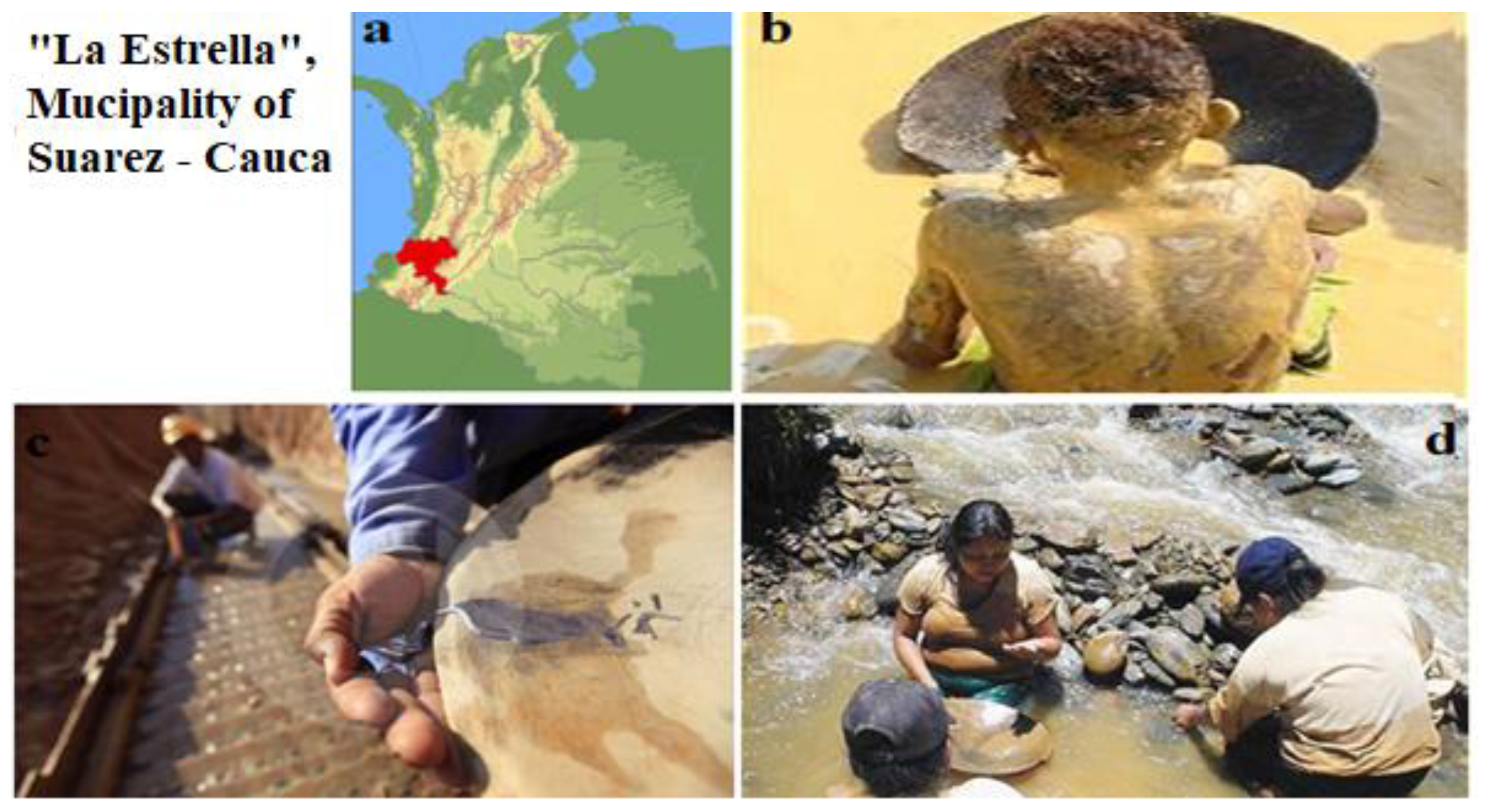 Sustainability 14 13245 g001