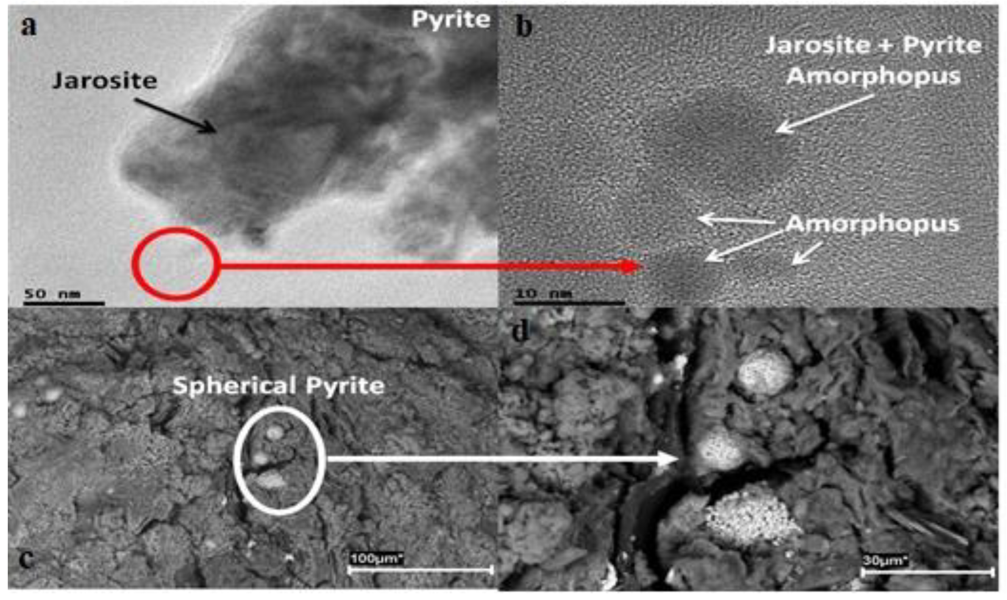 Sustainability 14 13245 g005