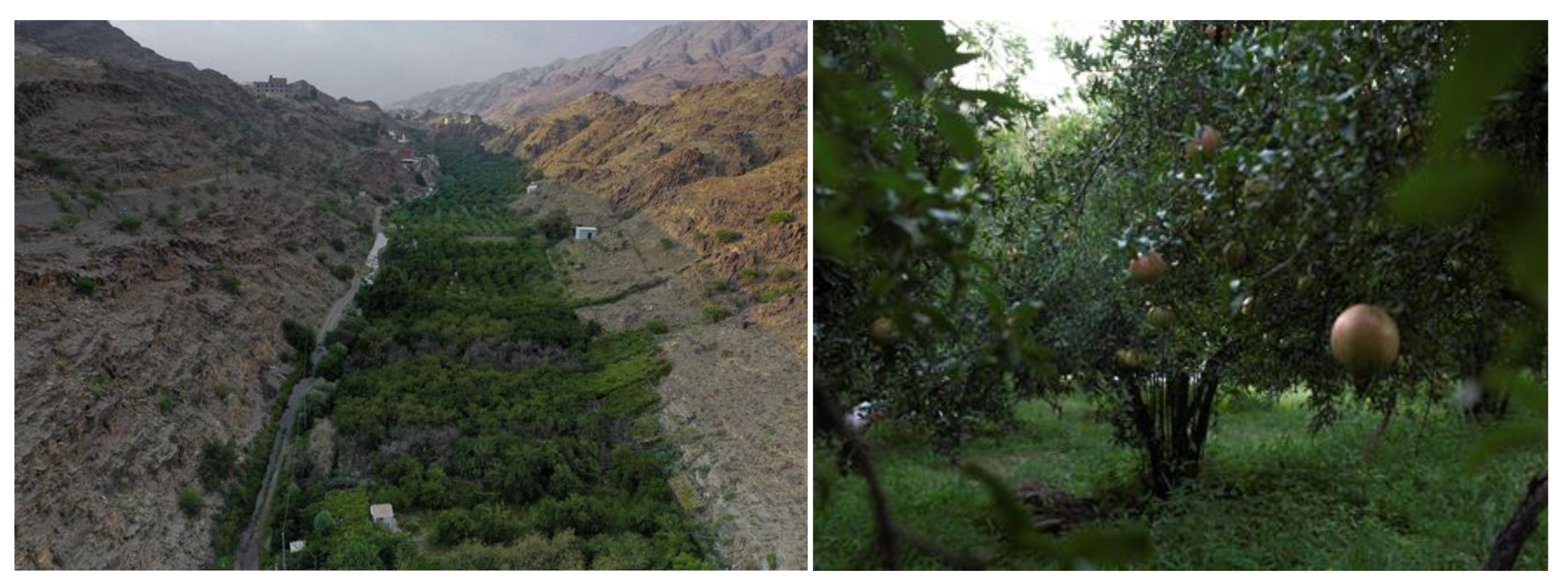 Sustainability 14 13275 g001 Sustainability 14 13275 g001