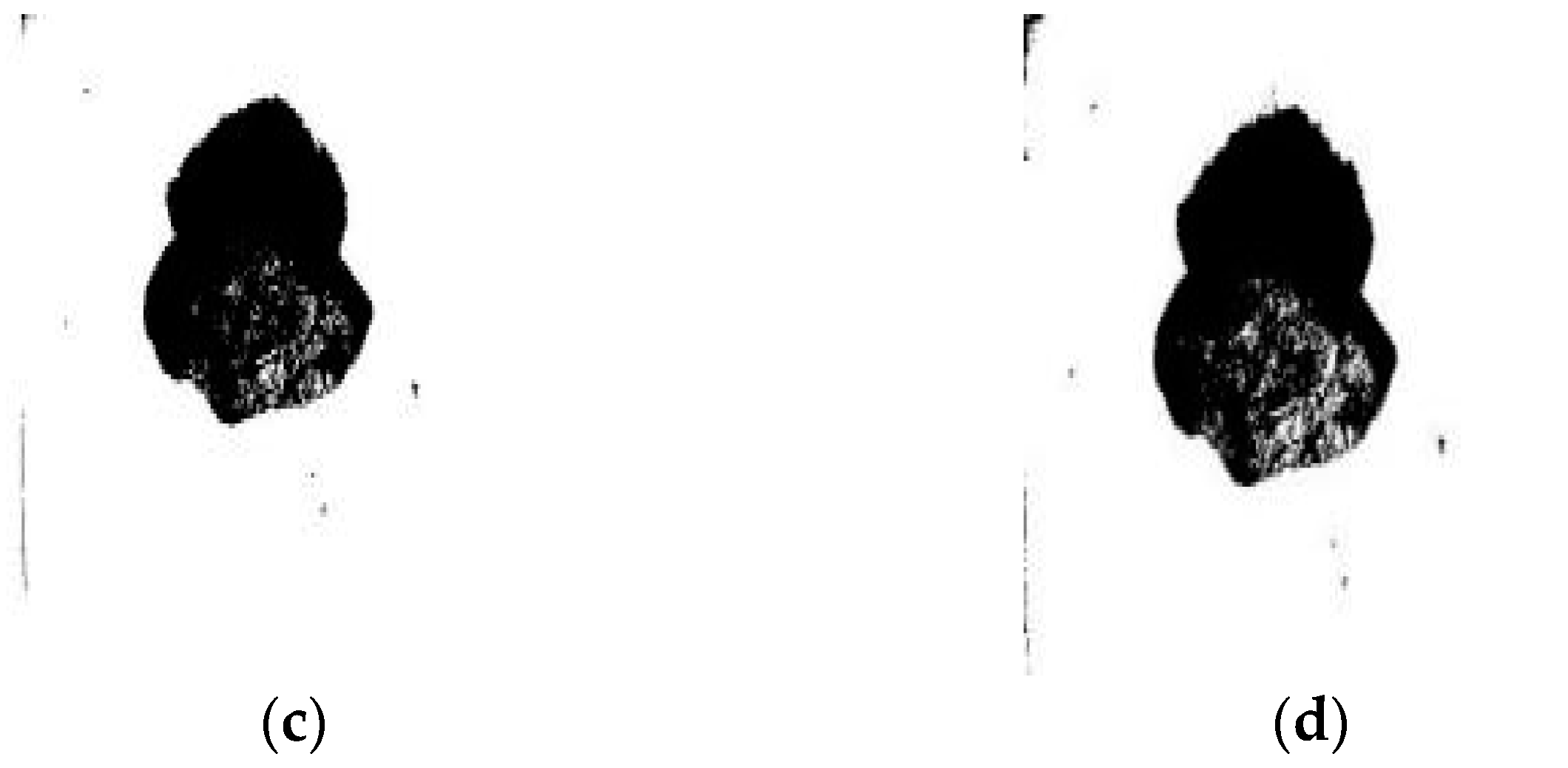 Sustainability 14 13276 g007b Sustainability 14 13276 g007b