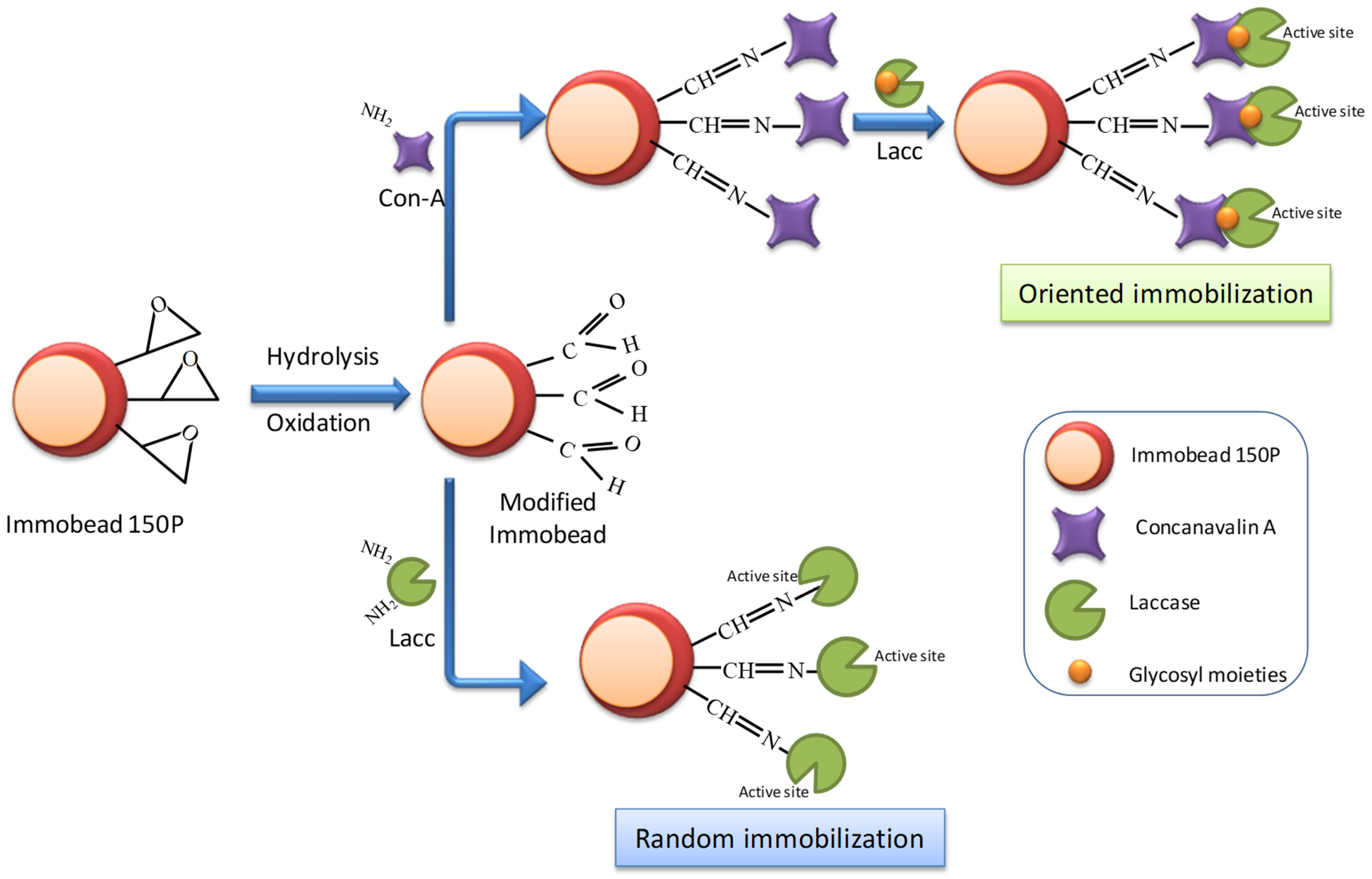 Sustainability 14 13306 sch001 Sustainability 14 13306 sch001