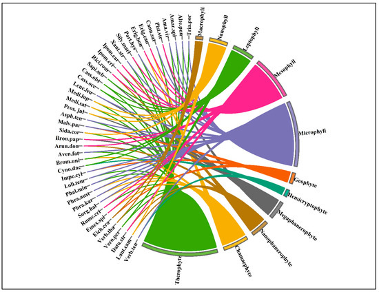 Sustainability | Free Full-Text | Invasive Plants Diversity, Ecological ...
