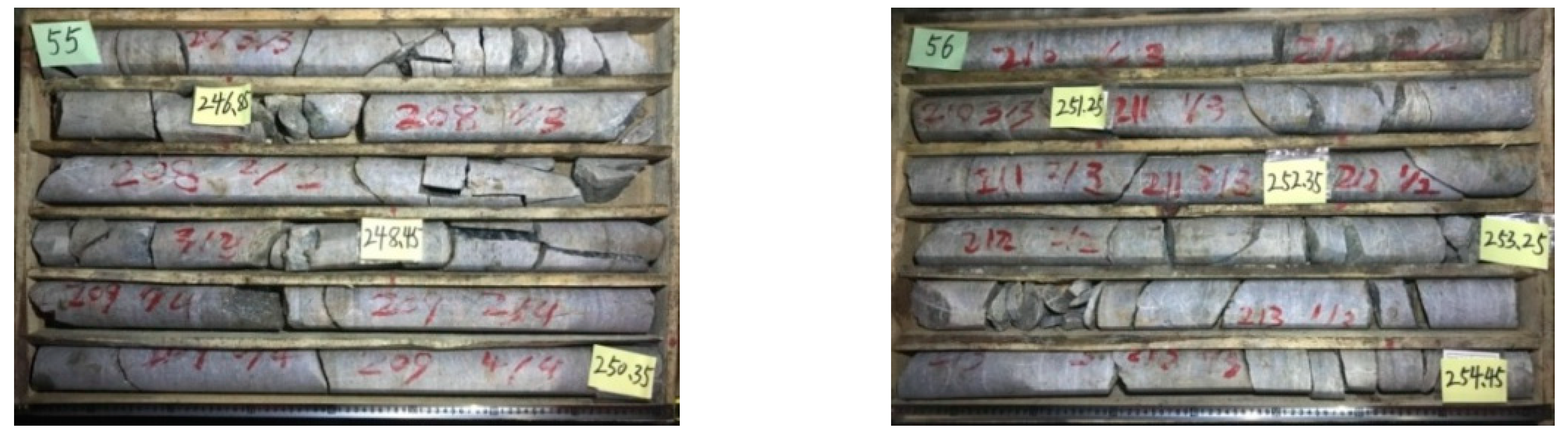 Sustainability 14 13329 g001 Sustainability 14 13329 g001