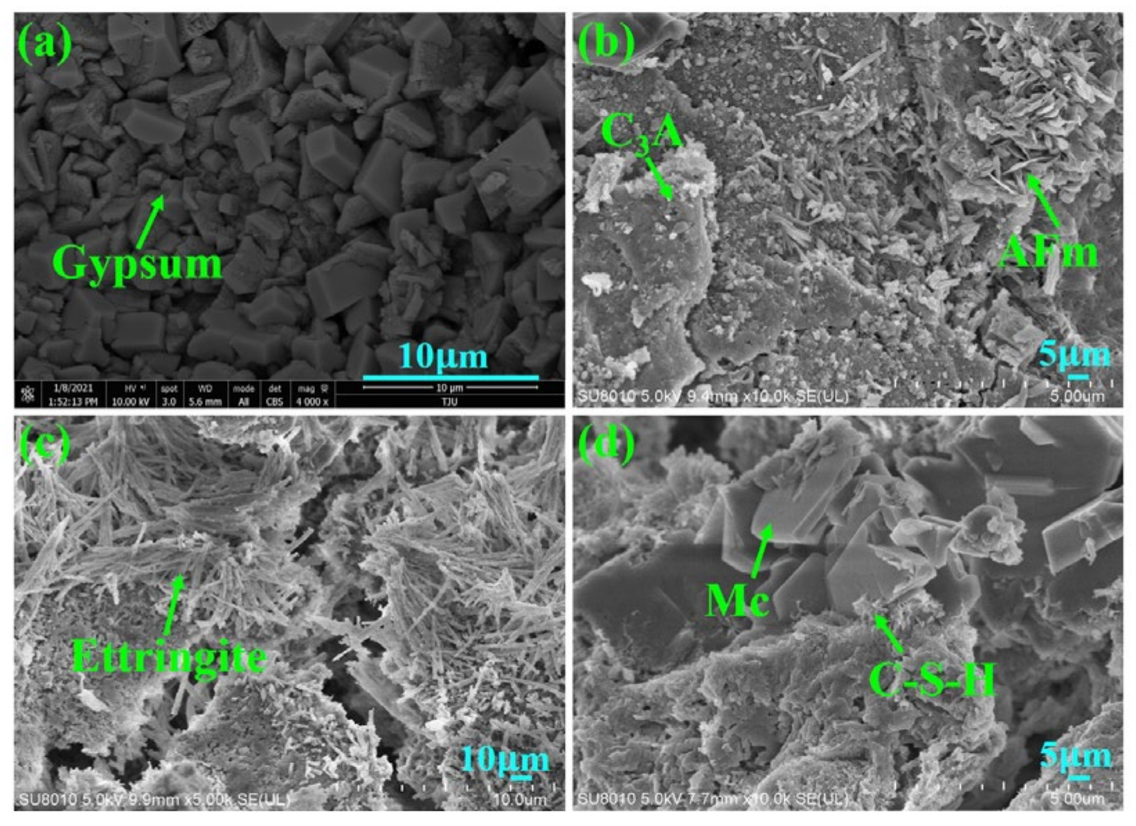 Sustainability 14 13340 g012