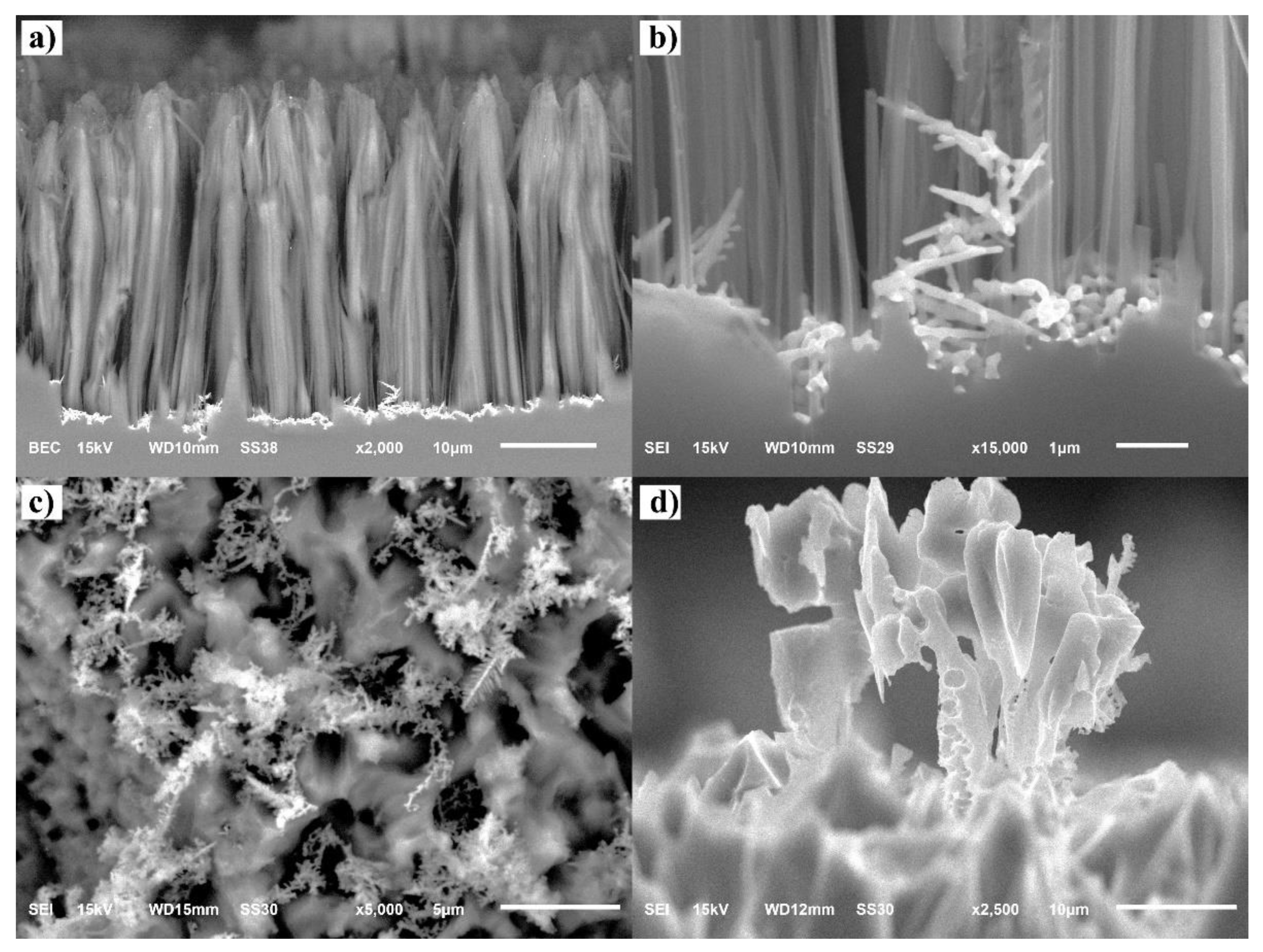 Sustainability 14 13361 g006 Sustainability 14 13361 g006