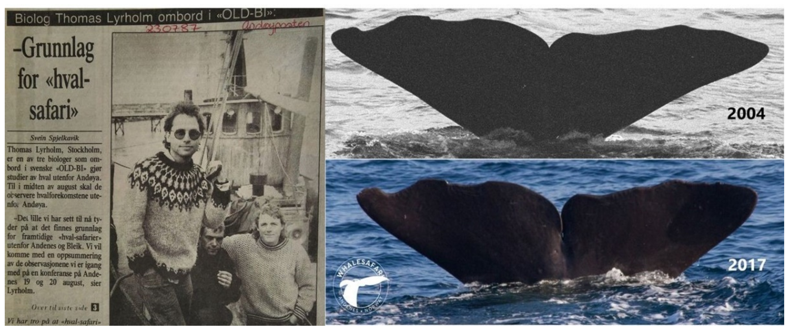 Sustainability 14 13471 g002