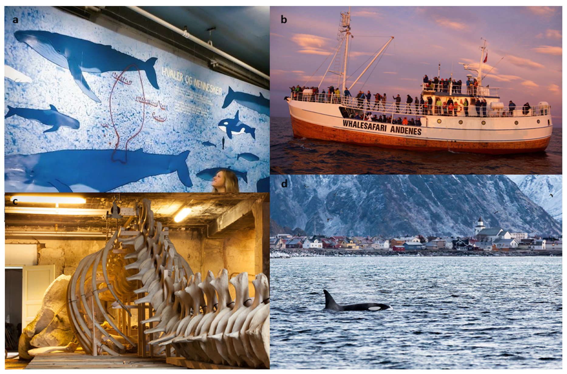 Sustainability 14 13471 g003