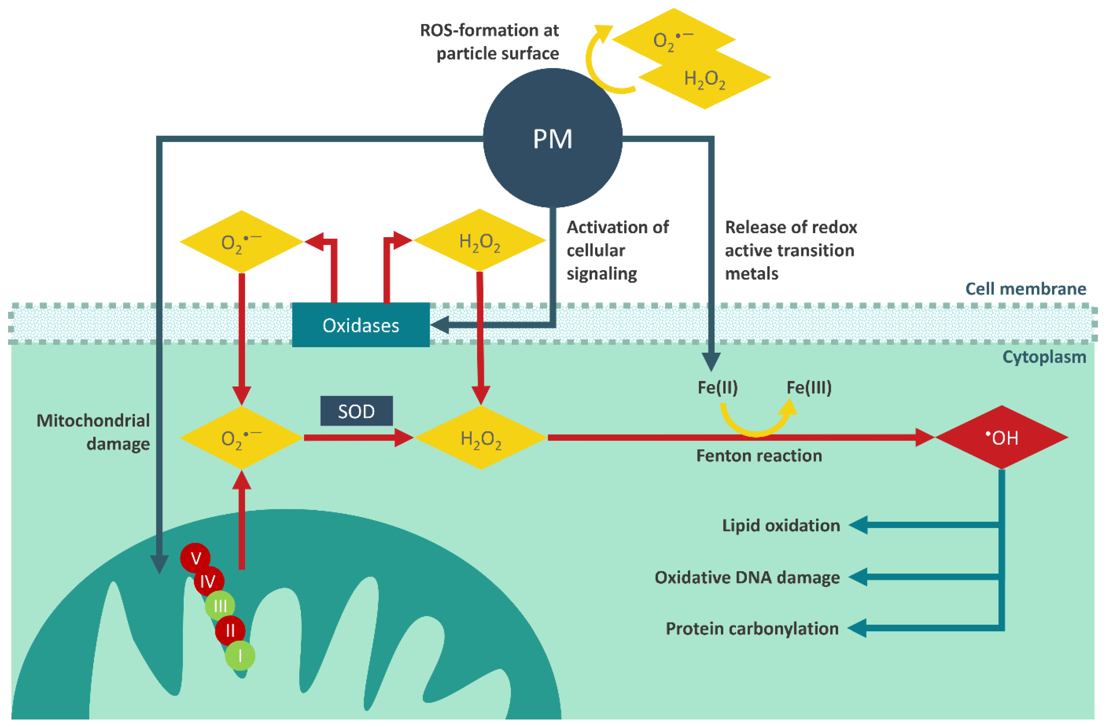 Sustainability 14 13481 g002 Sustainability 14 13481 g002