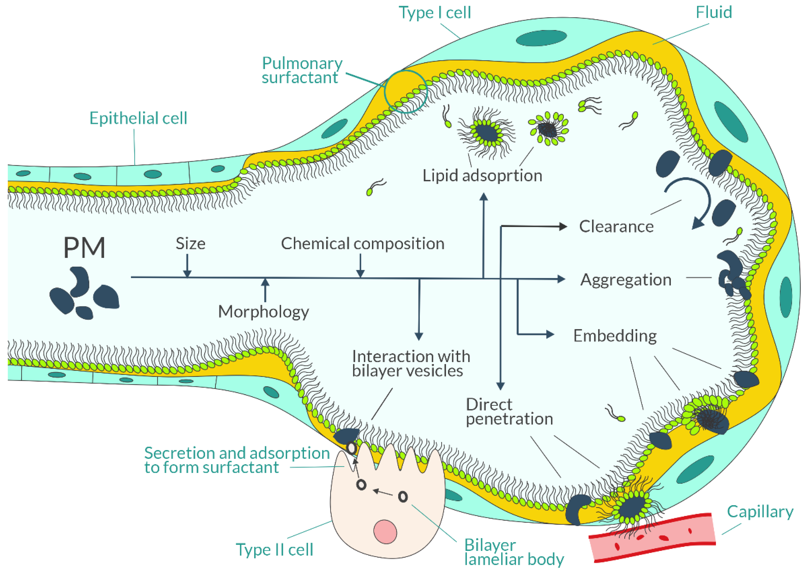 Sustainability 14 13481 g005 Sustainability 14 13481 g005