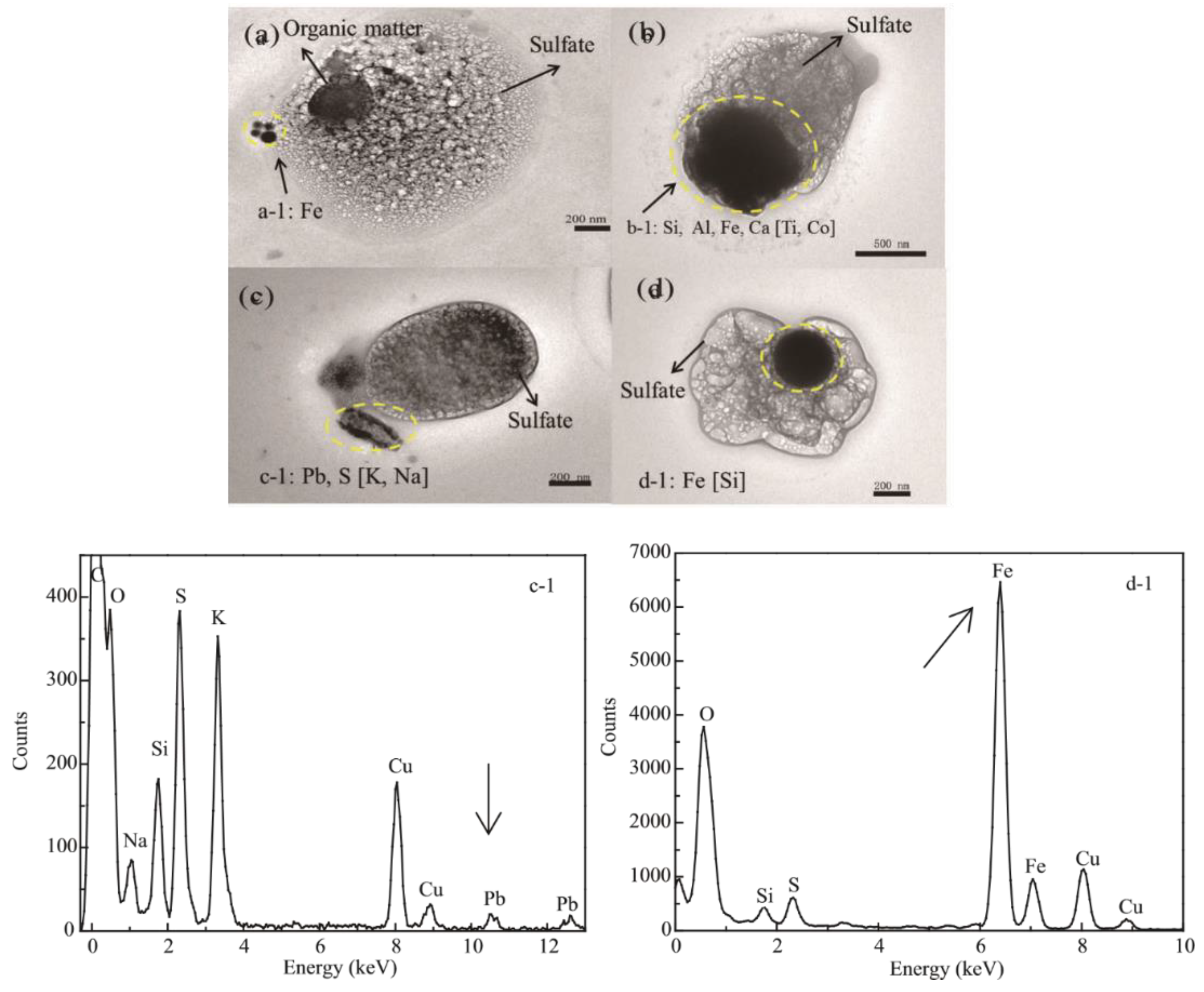 Sustainability 14 13481 g013 Sustainability 14 13481 g013