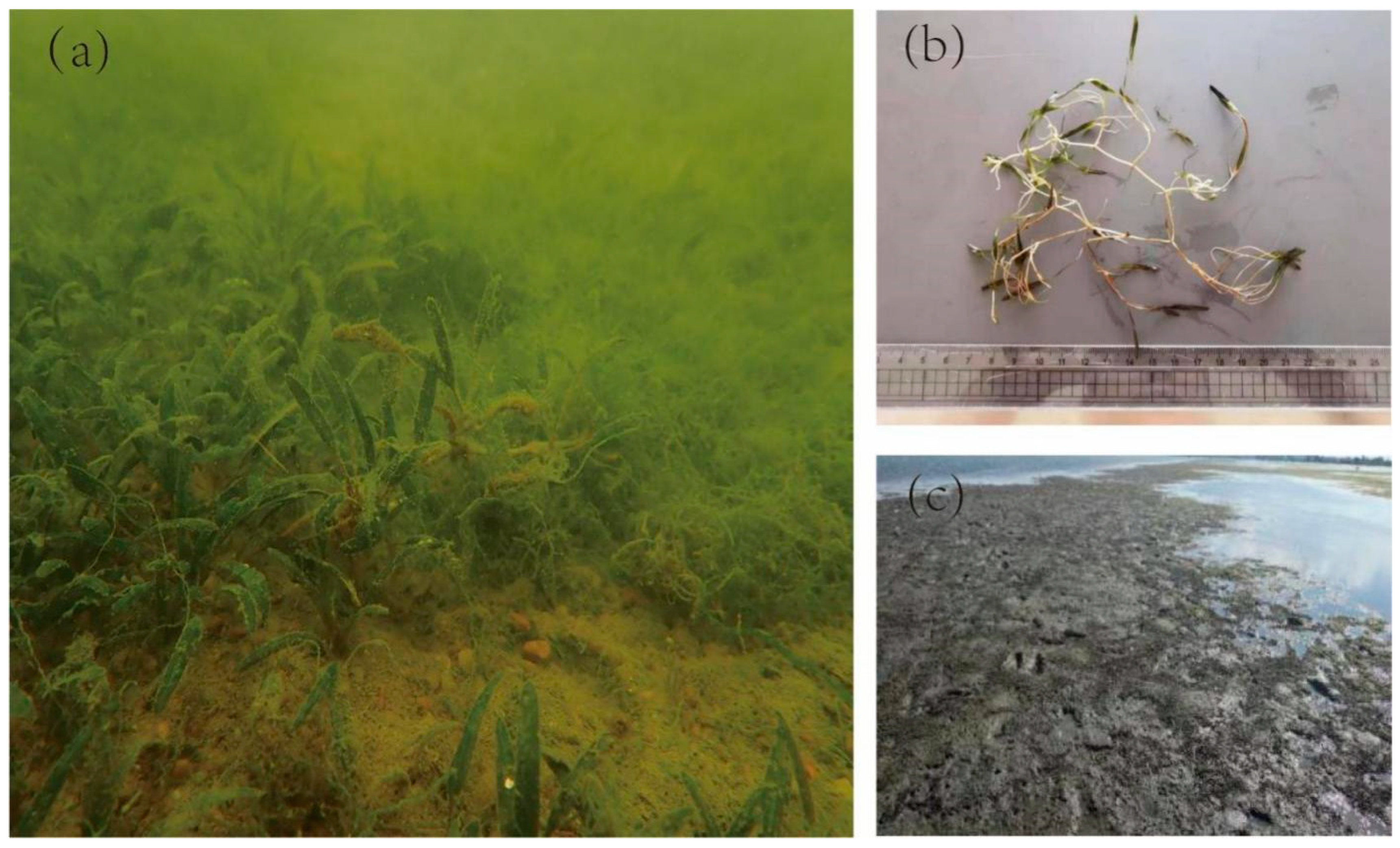 Sustainability 14 13491 g003